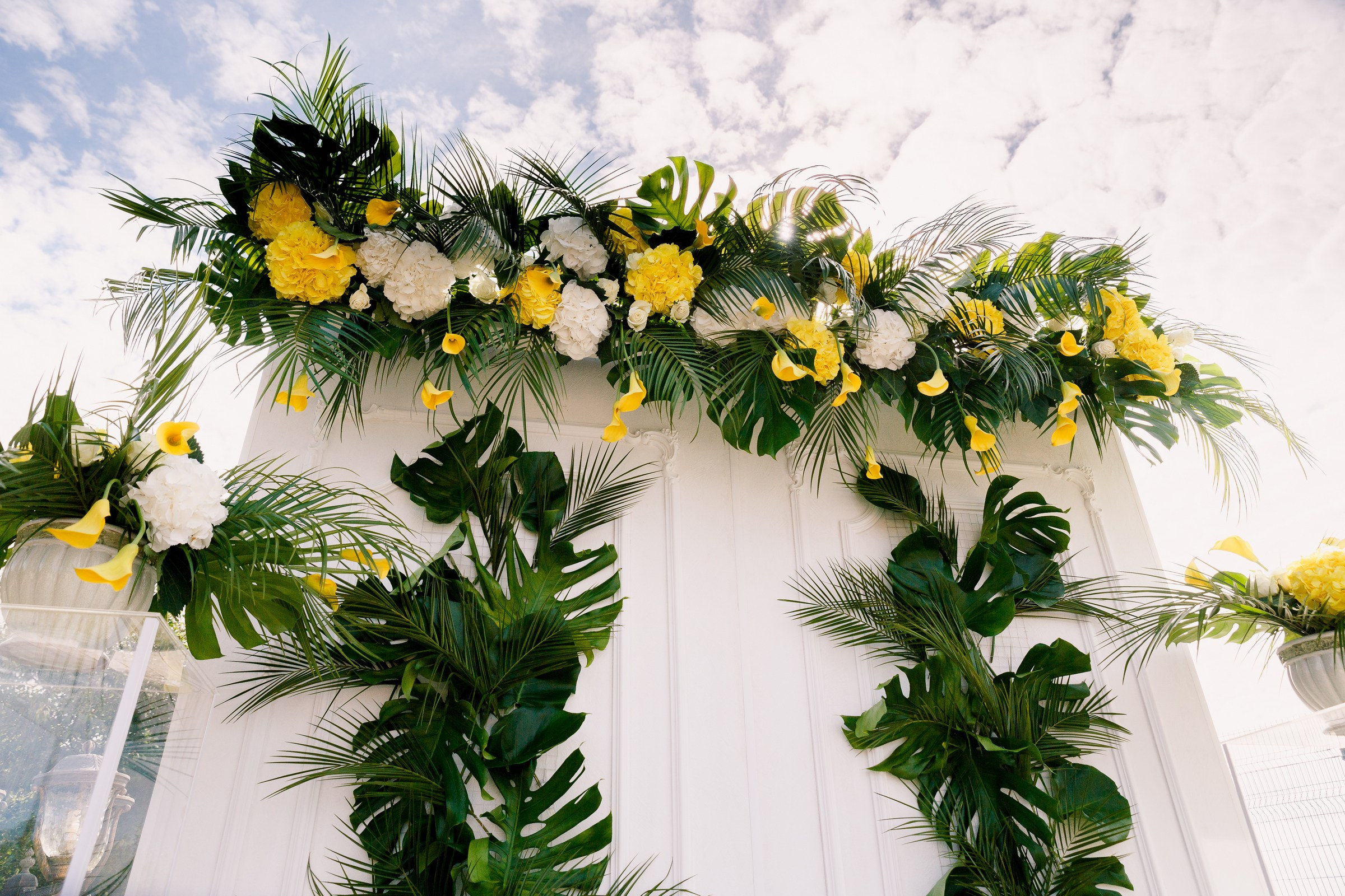 Дарина и Александр. Свадебный и семейный фотограф в Калининграде Грибачев Владимир