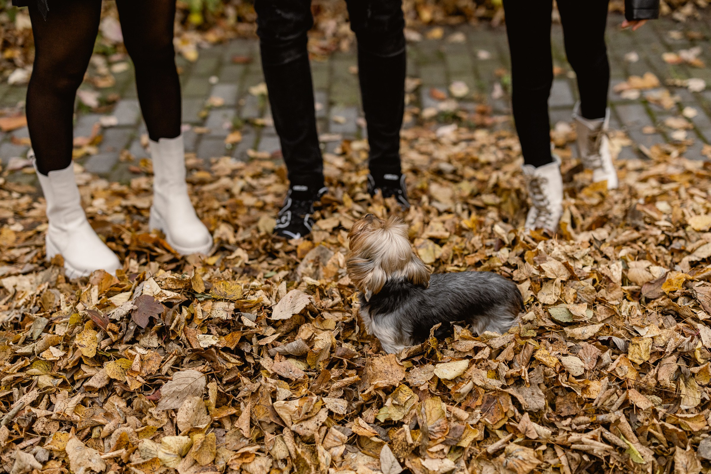 Сергей, Диля и Алекса. Свадебный и семейный фотограф в Калининграде Грибачев Владимир