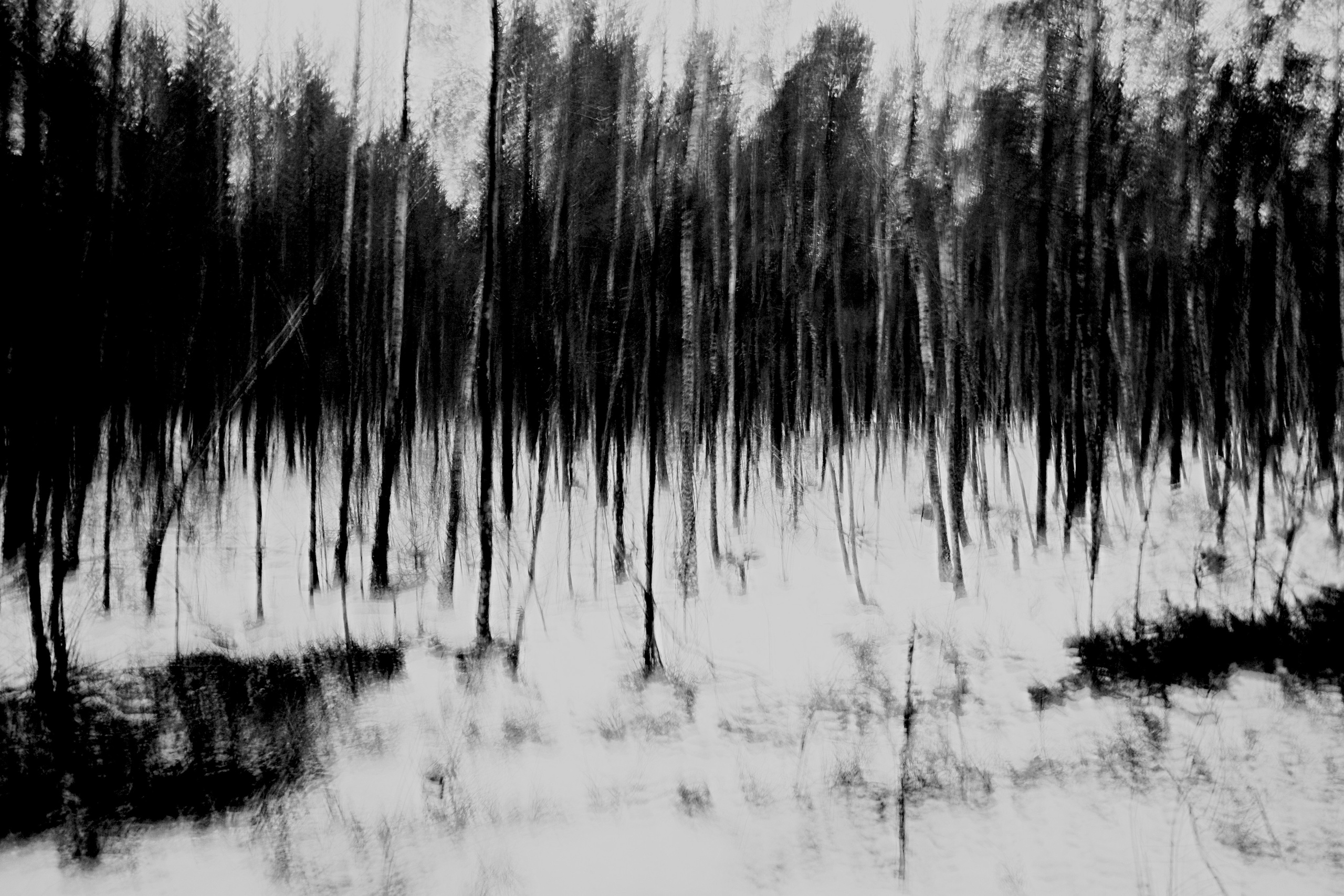 ЧБ  пейзажи (BnW landscape). Фотограф (photographer) Lischinski Vitaliy