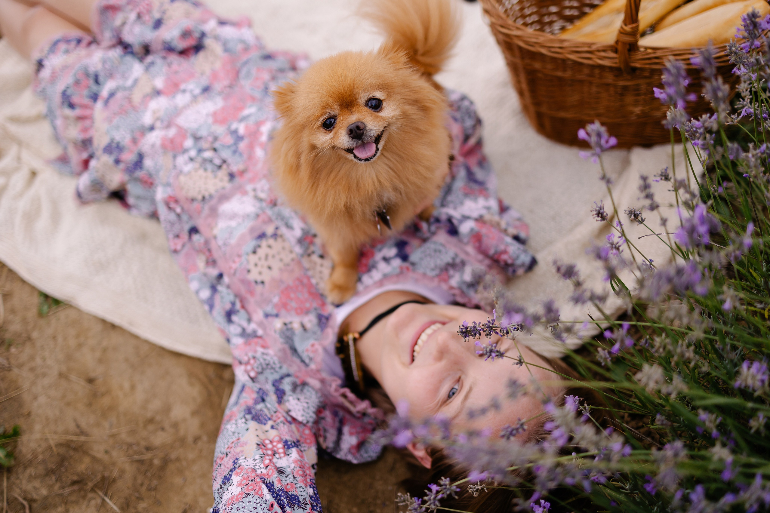 Hundeshooting / Hundefotografie. Fotografin in München Dasha Antipina