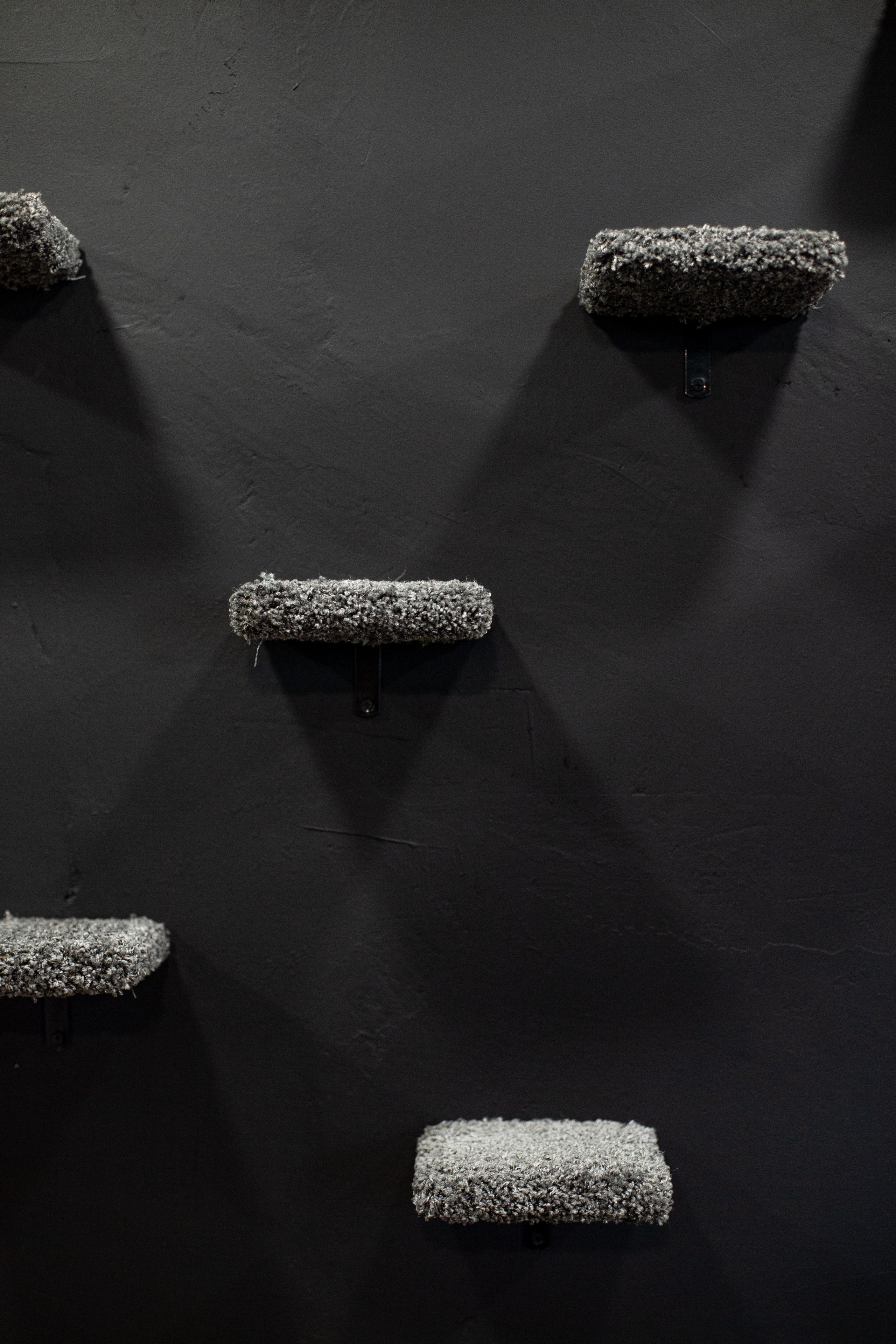 Кошкин дом. Фотограф Оля Батист