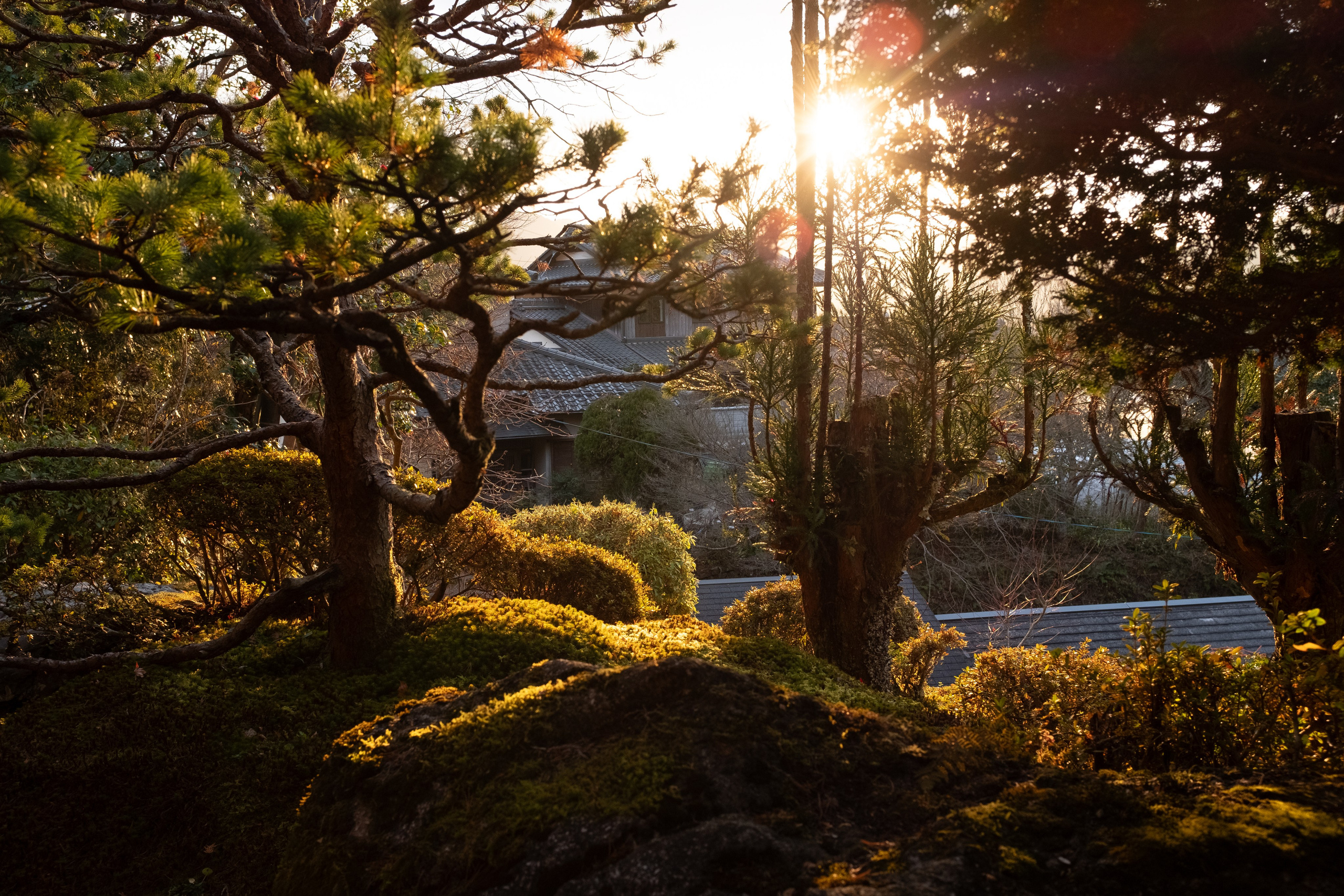 Nature. Regina Platonova