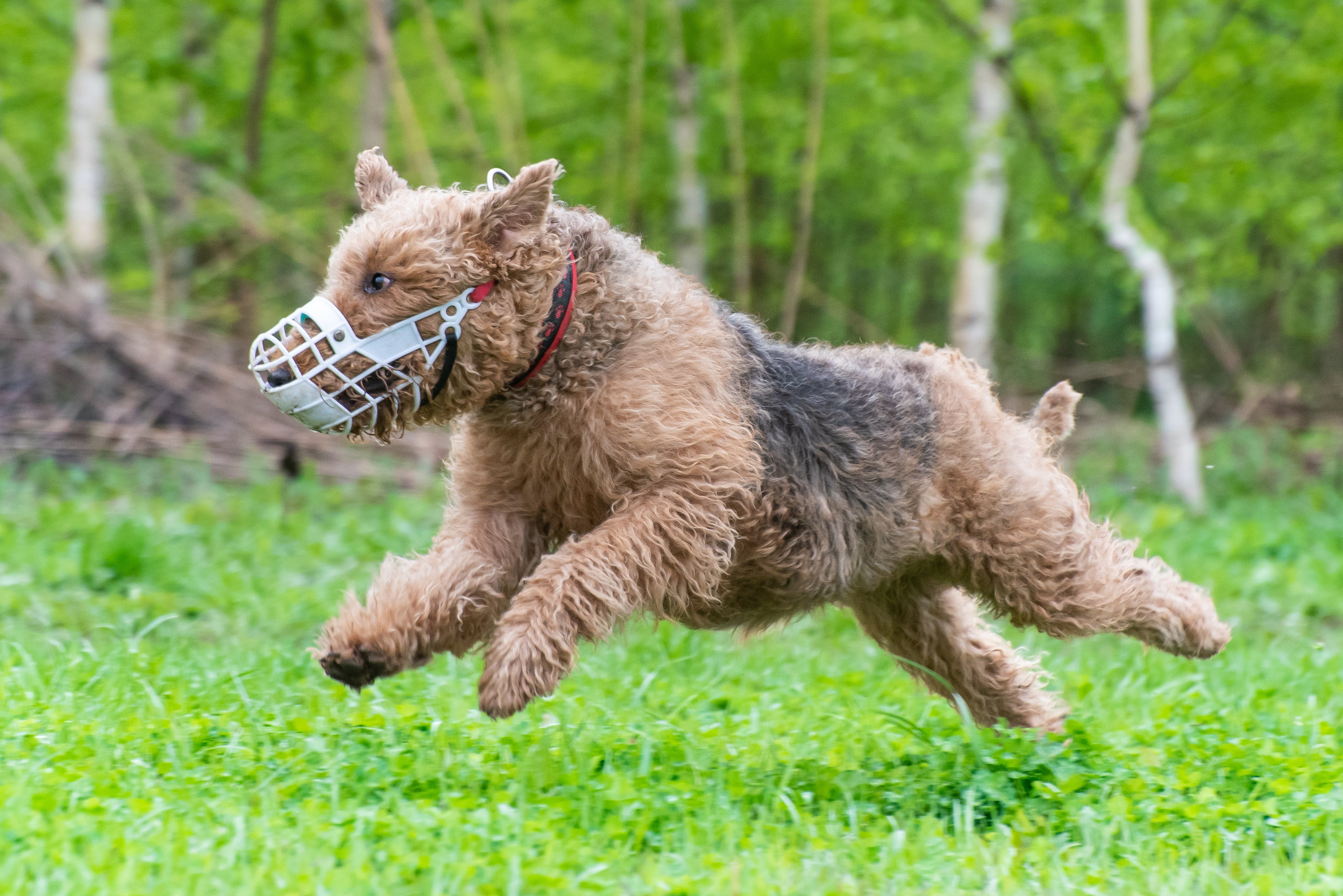 Фотографии с Курсинга. Фотограф Макс Огурцов в Нижнем Новгороде