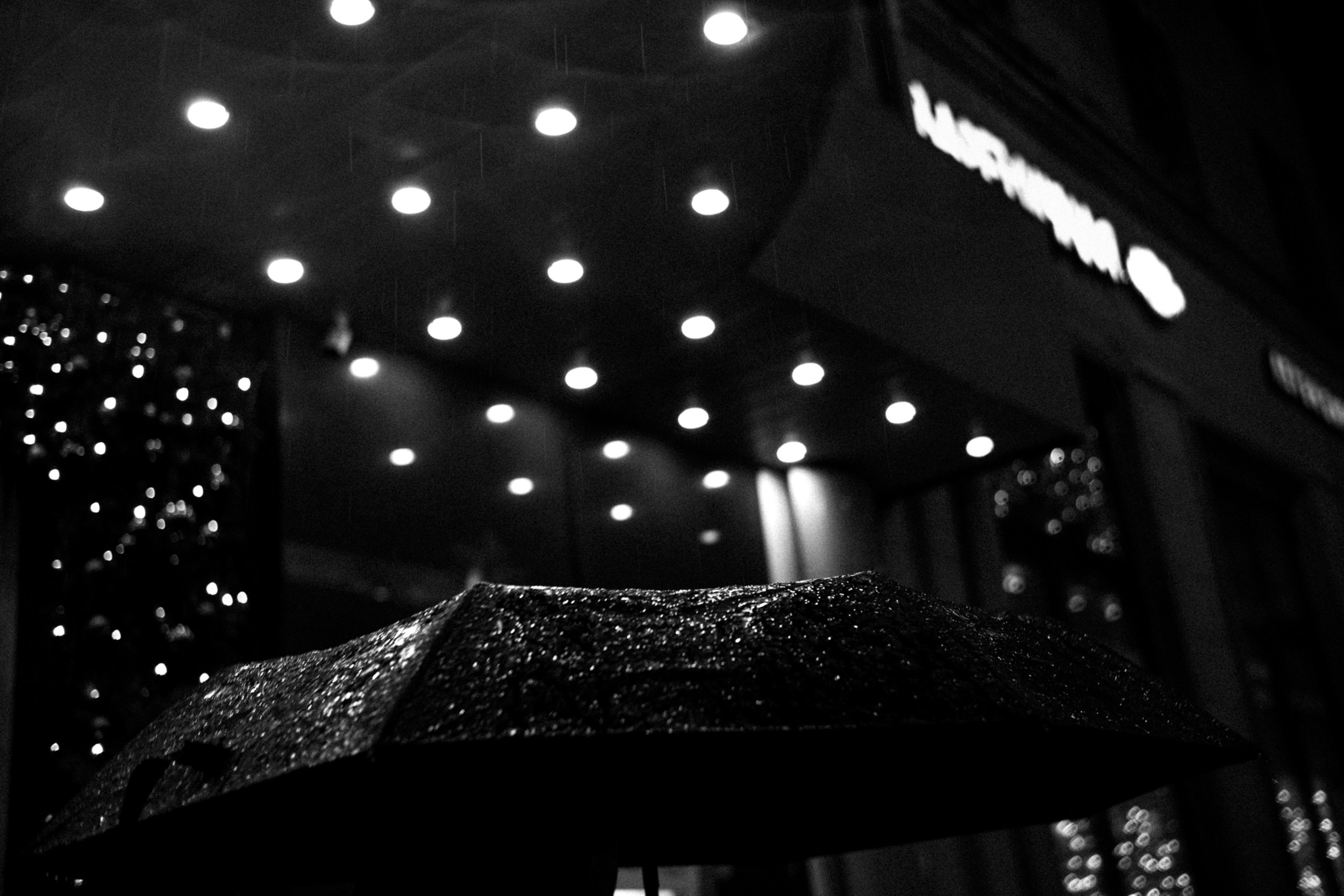 Дождь. Photographer Pavel Romashchenko