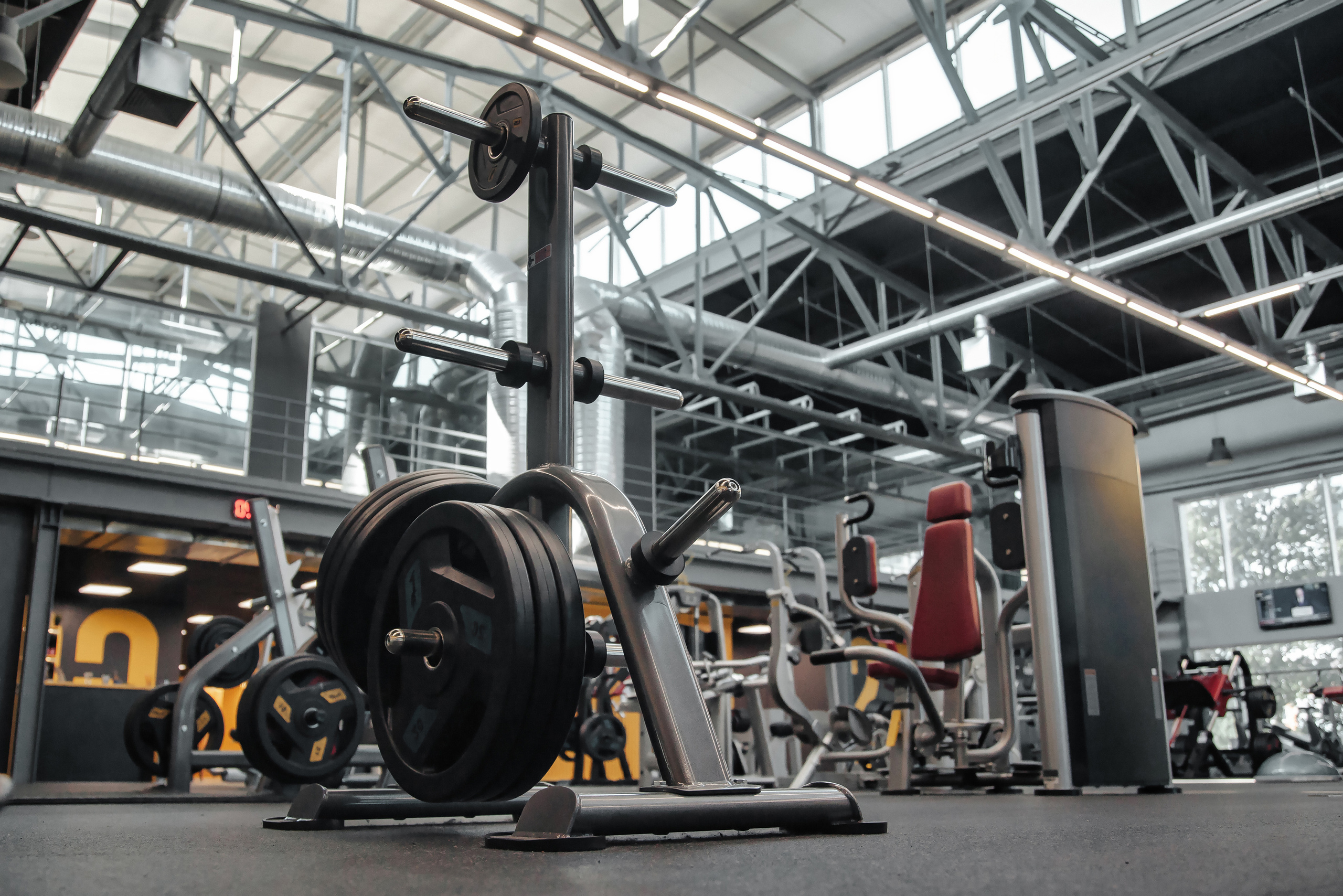 INTERIOR PHOTO. AGarte: photo and video shooting in St. Petersburg and Moscow