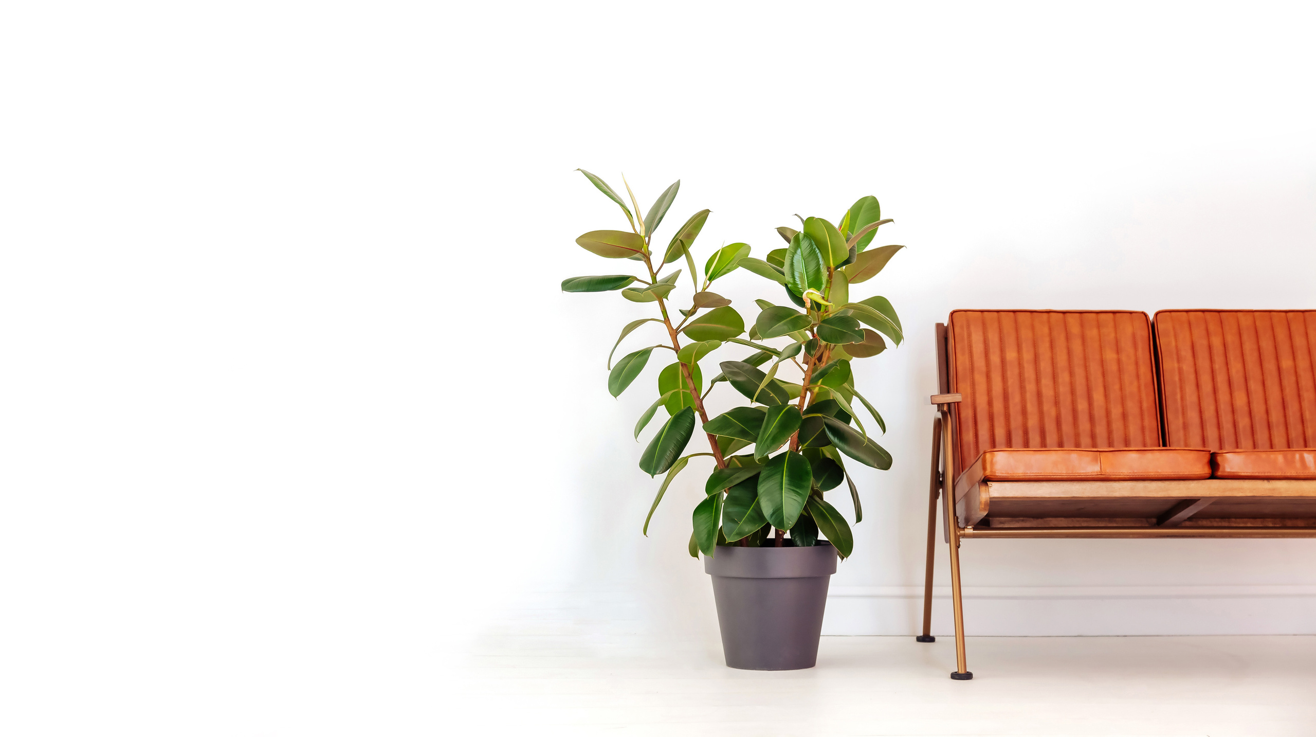 INTERIOR PHOTO. AGarte: photo and video shooting in St. Petersburg and Moscow