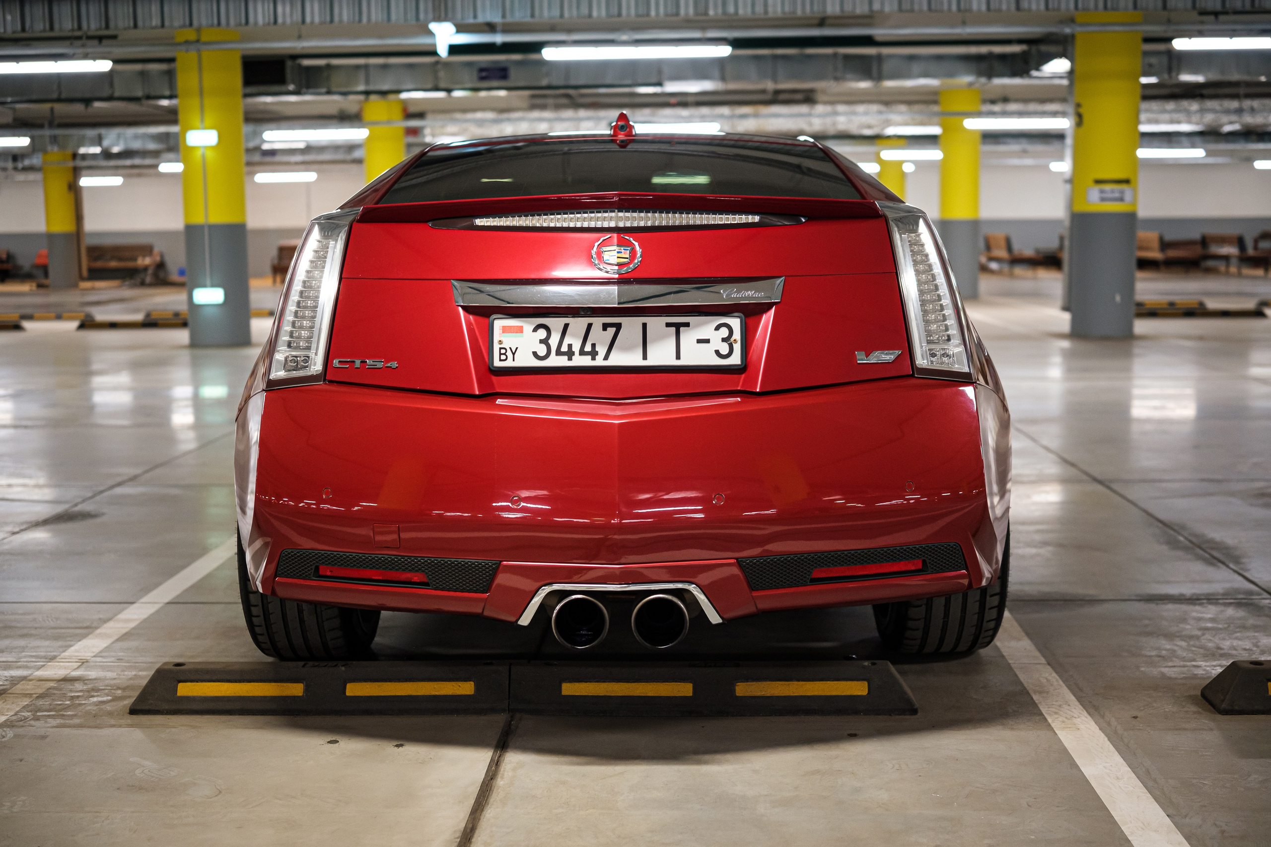 Кэдди. Алексей Никифоров фотограф Москва, Химки