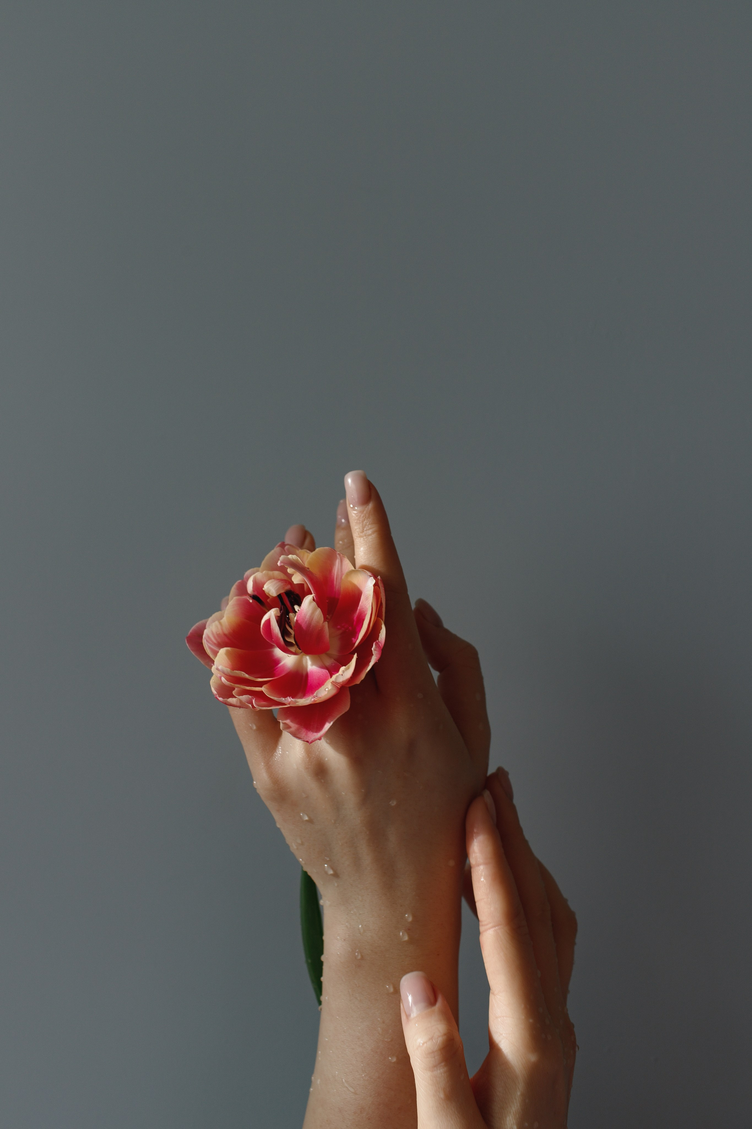 Контент. Фотограф в Санкт-Петербурге Ольга Староверова