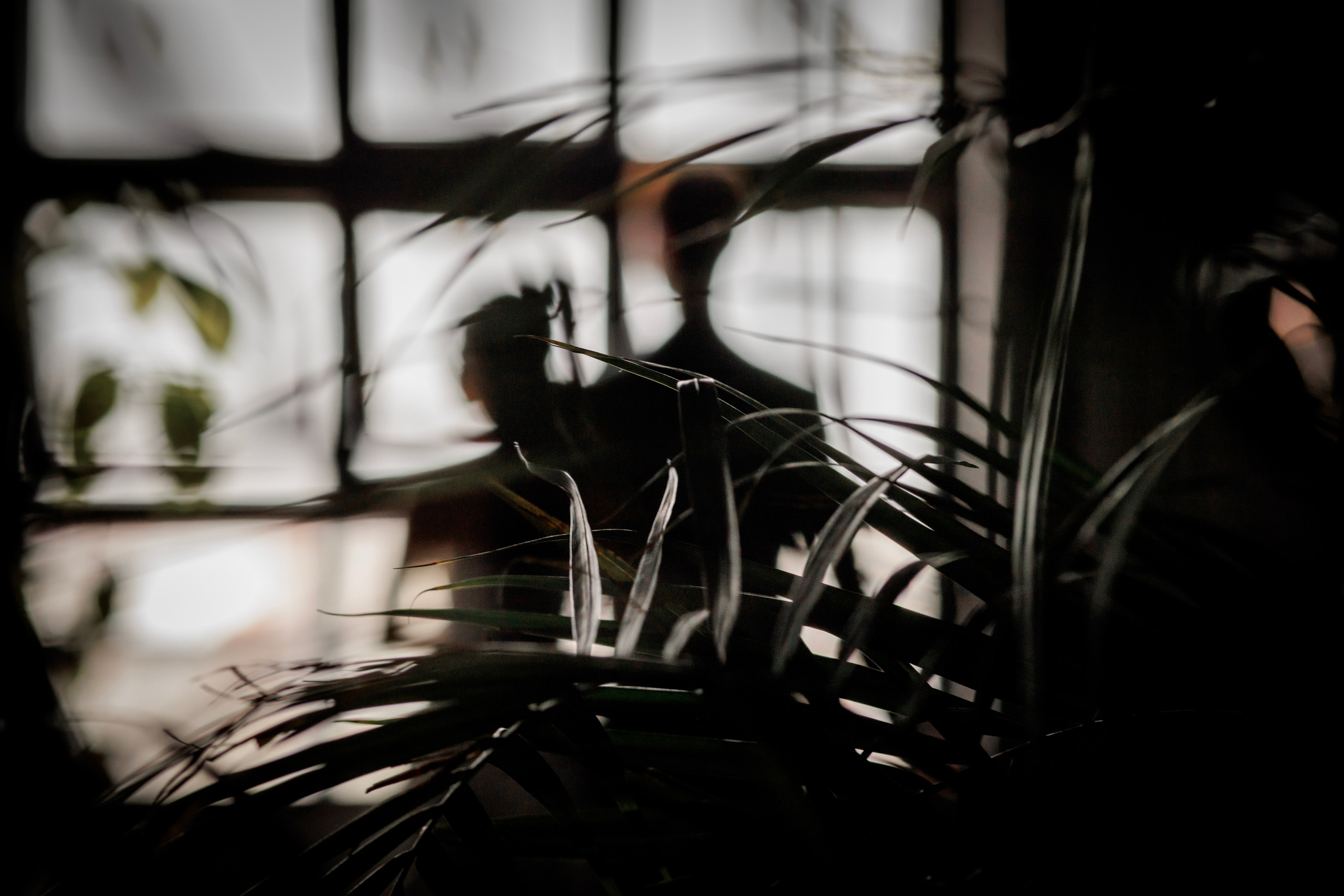 Мега и Ян. Свадебный, репортажный фотограф в Тюмени Сергей Тапилин