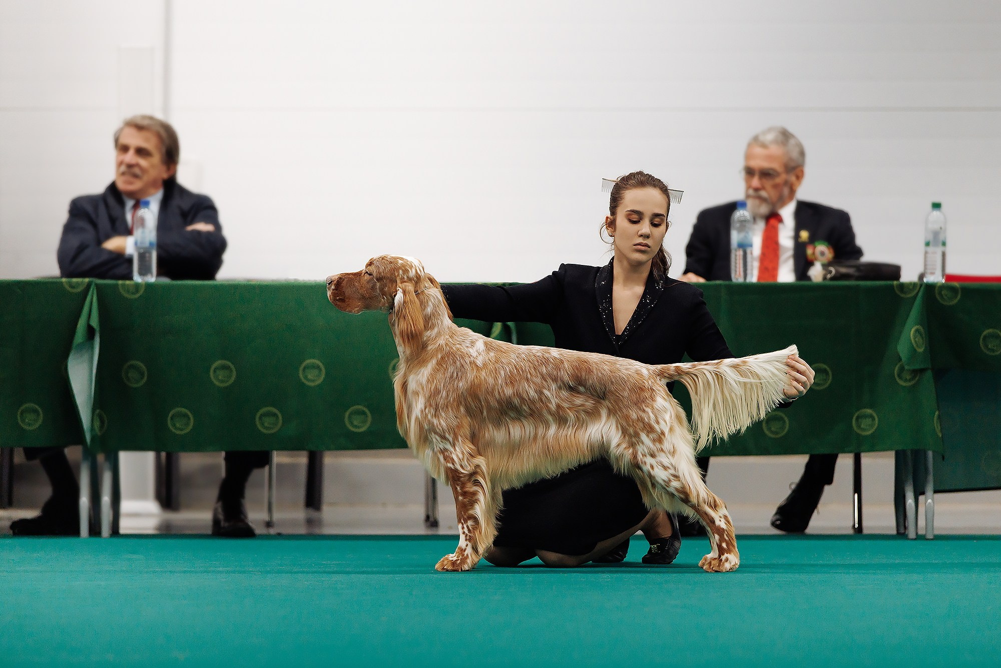 29-30.11.2025 — Казань «Зилант». Фотограф-анималист Саша Вязьмина