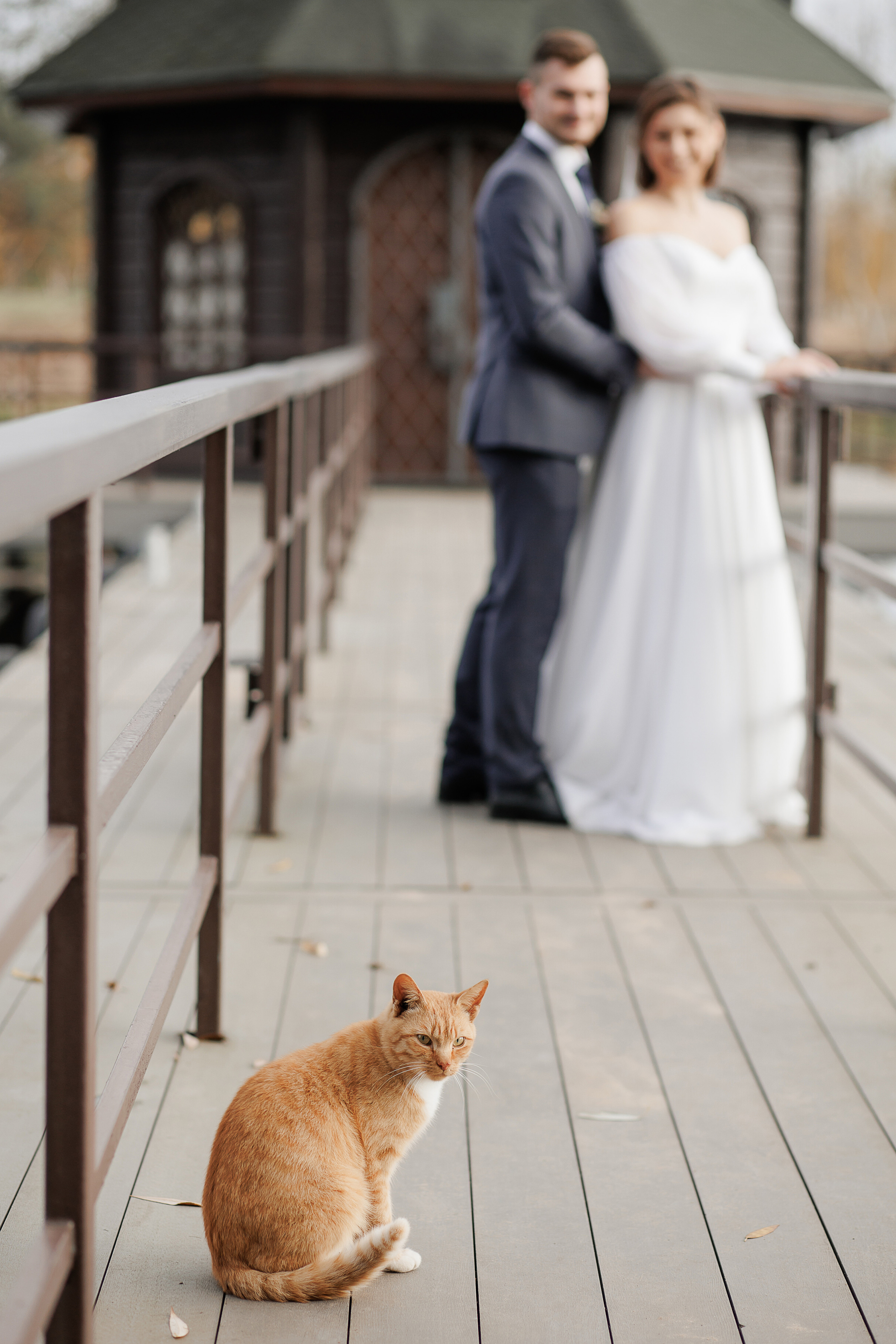 Свадьба Анны и Андрея. Свадебный и семейный фотограф в Твери и Тверской области