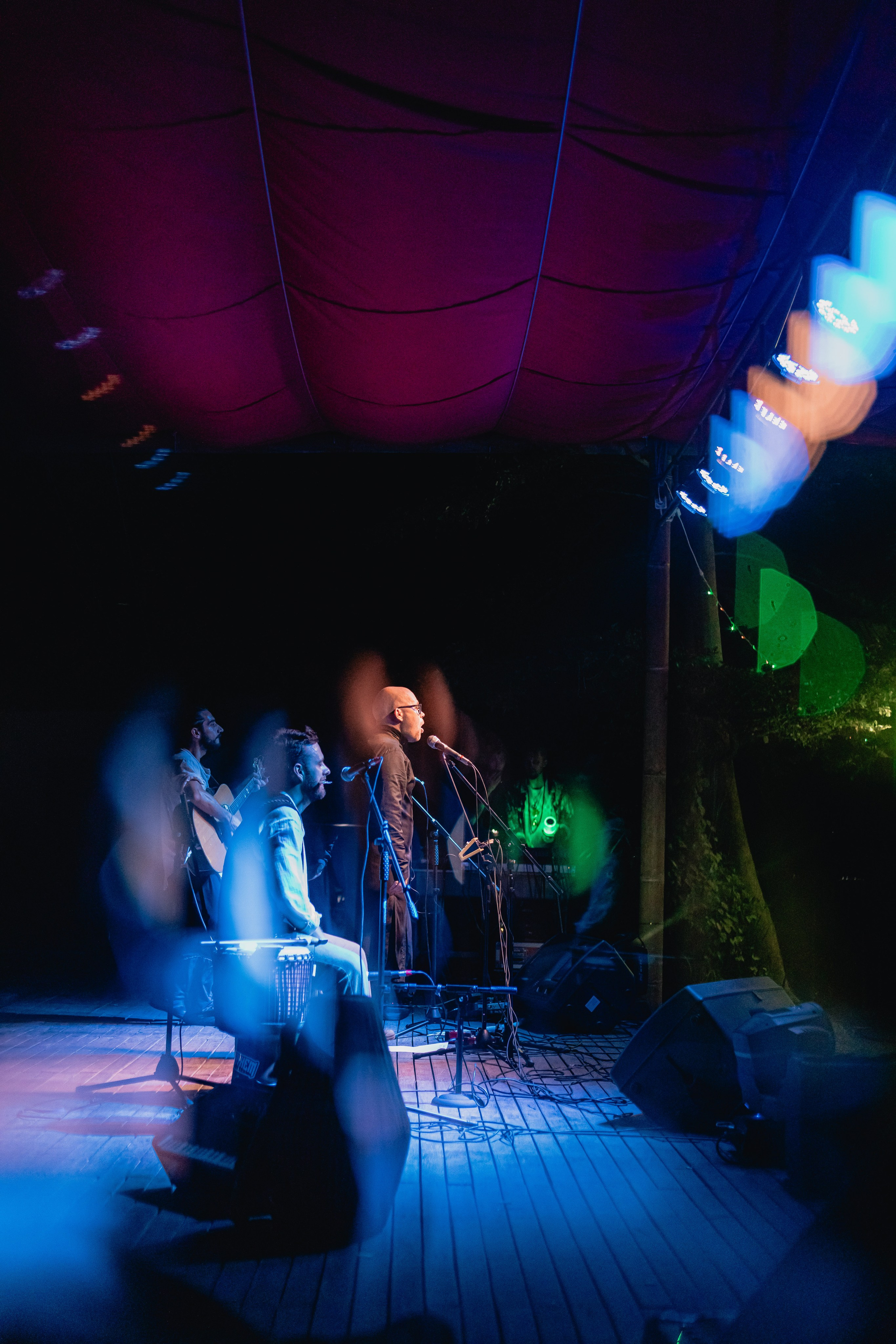 Russian New year. Мариам Багдасарян