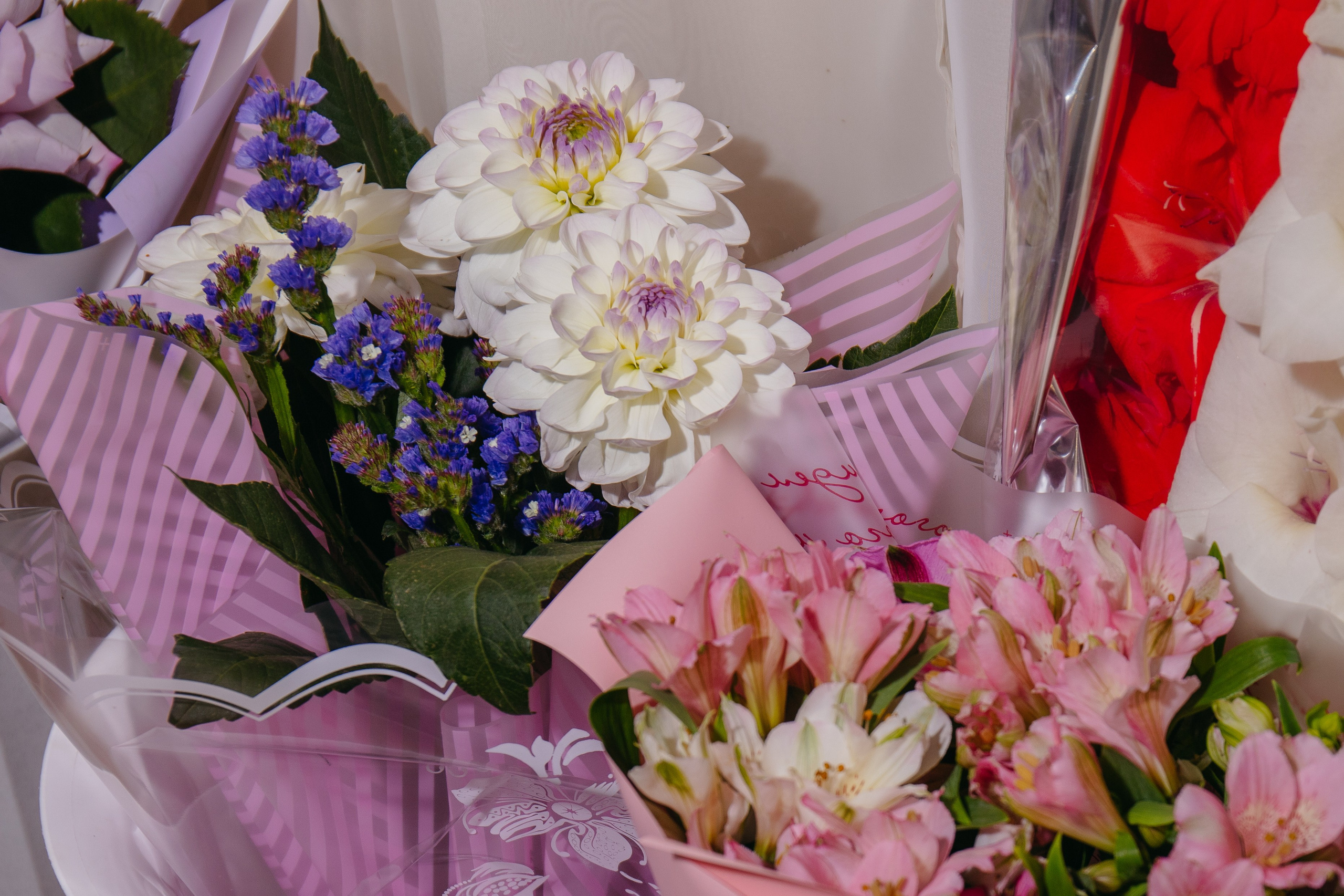 Илья и Алена. Свадебный и женский фотограф