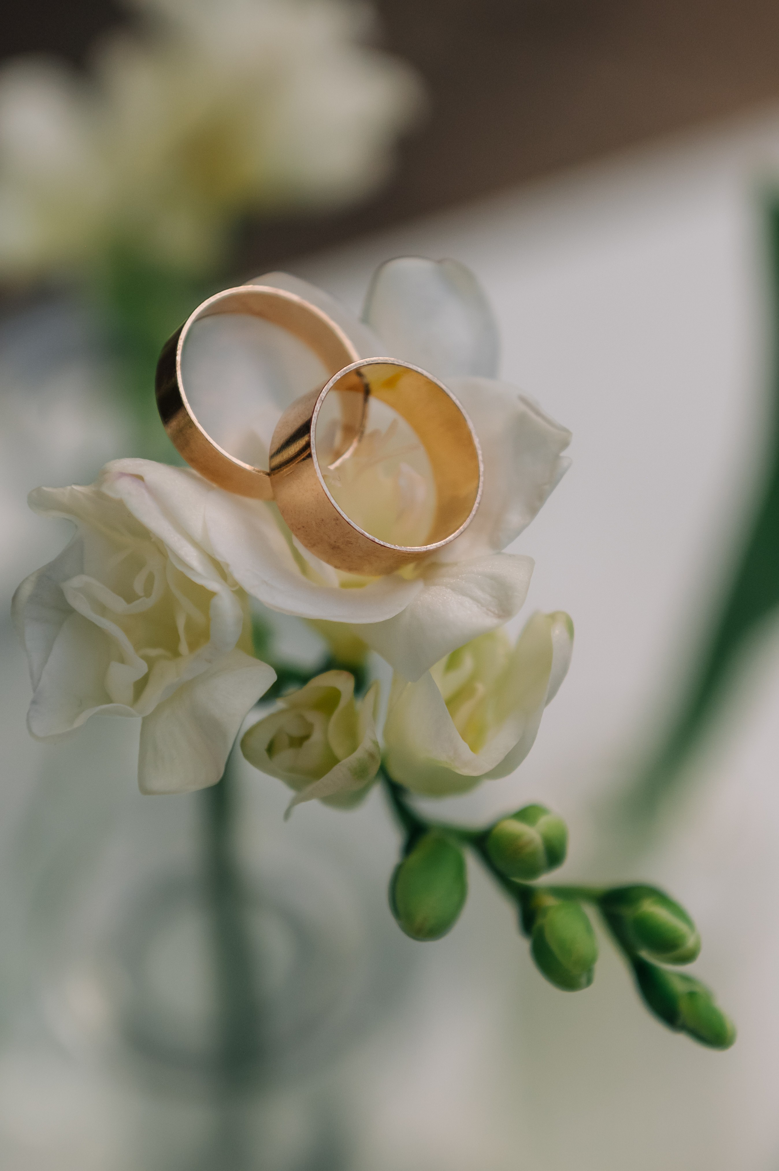 Михаил и Анастасия