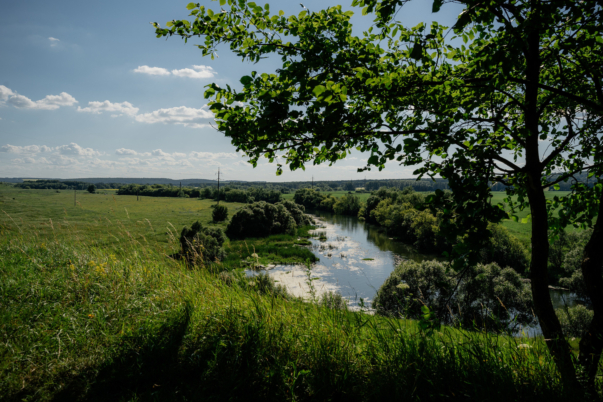 Свадебная фотосессия Павел и Юлия. Фотограф в Туле и области Константин Гудовичев