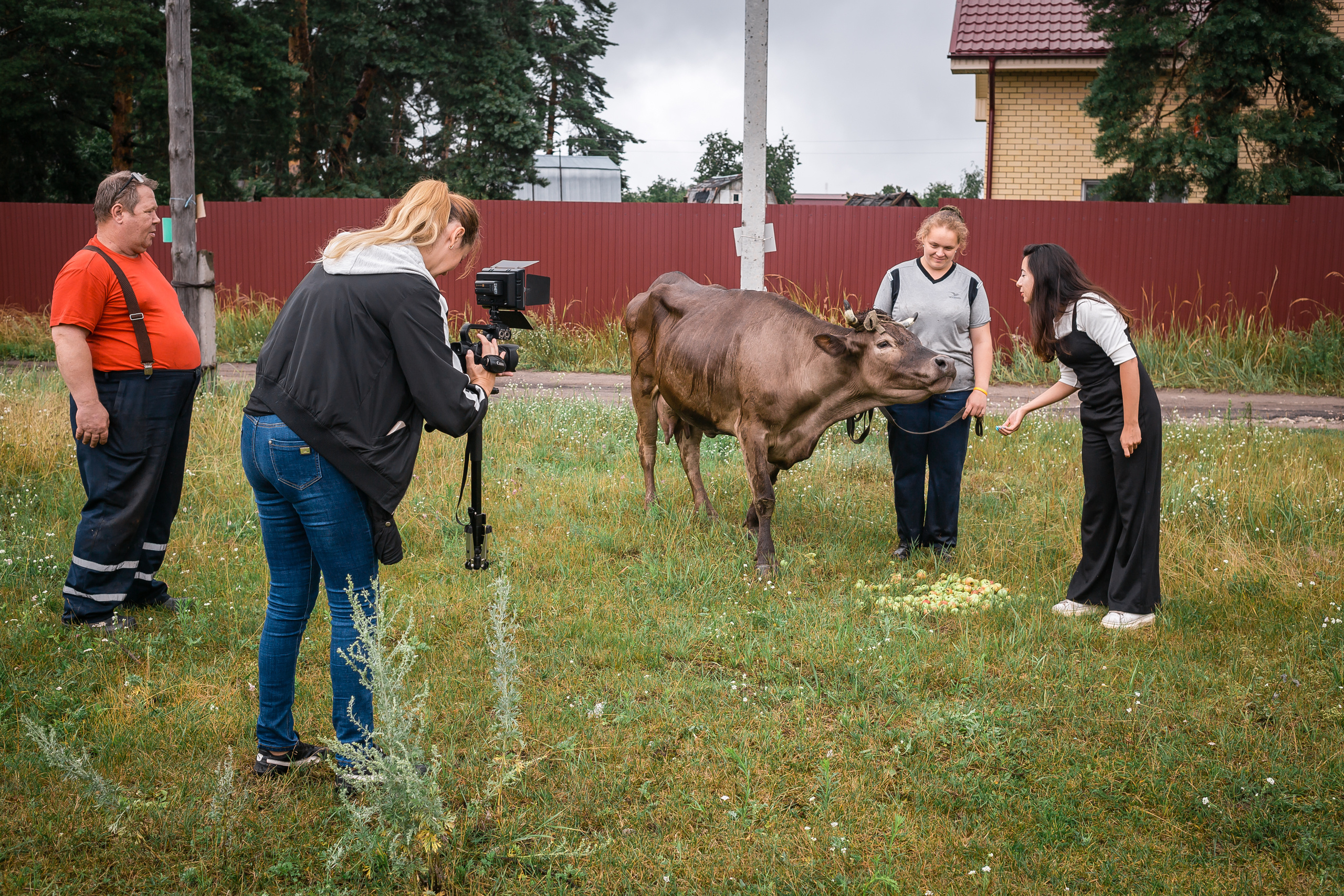 Проект «Вместе с мамой» — корова Аннушка. Фотографиня Мария Дикова