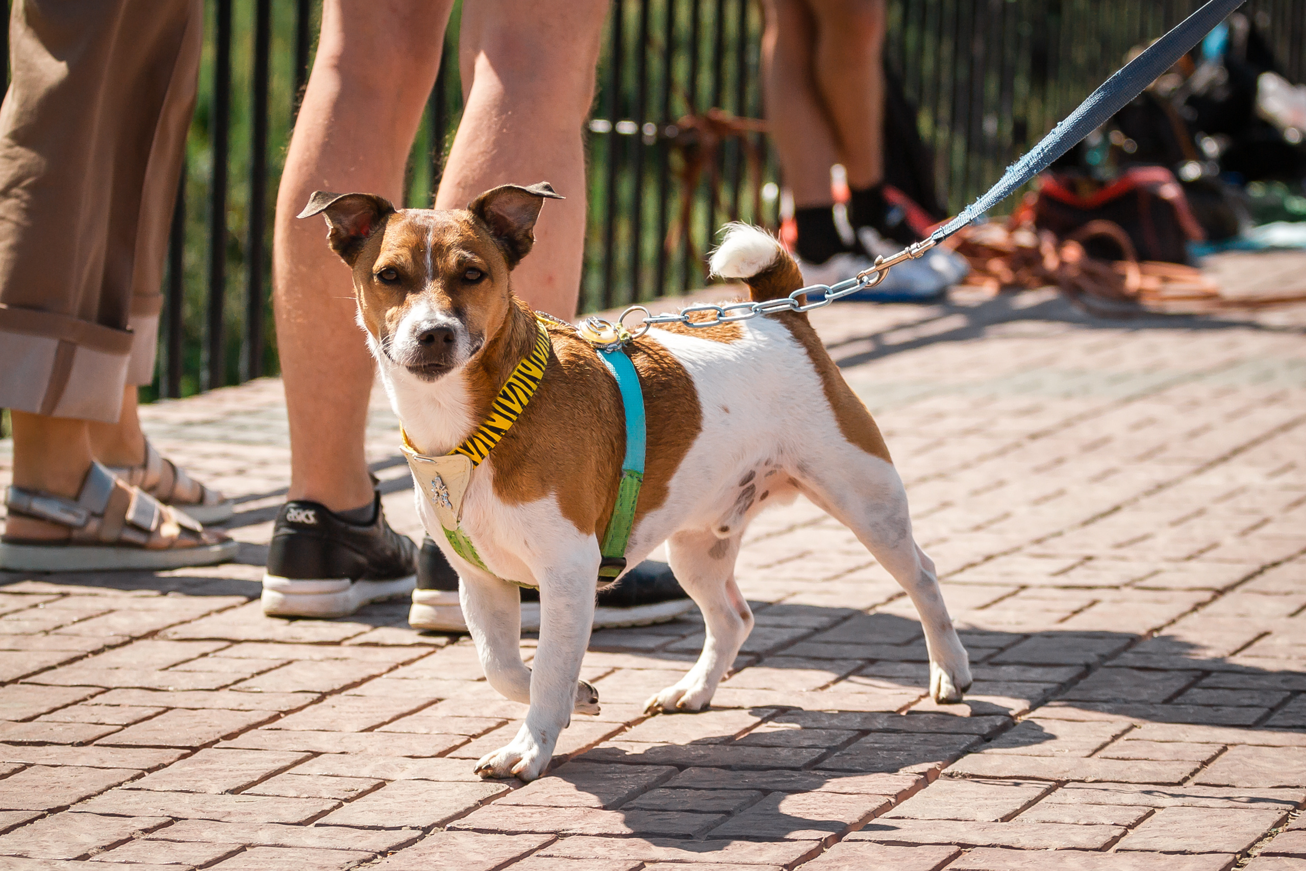 G.team — мост на Федоровского. Фотографиня Мария Дикова