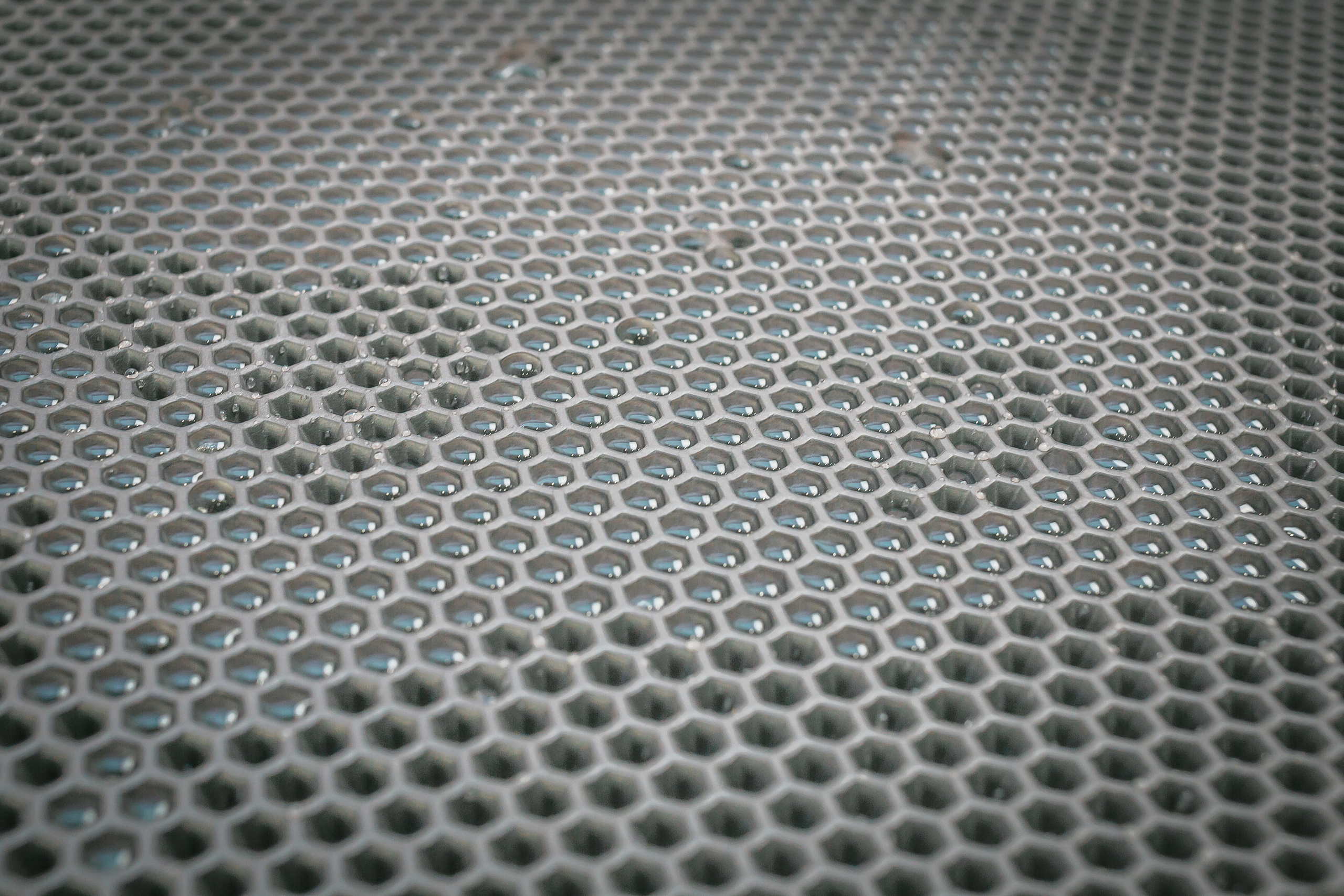 Съемка рекламы ковриков под лоток «Kotopes». Фотографиня Мария Дикова