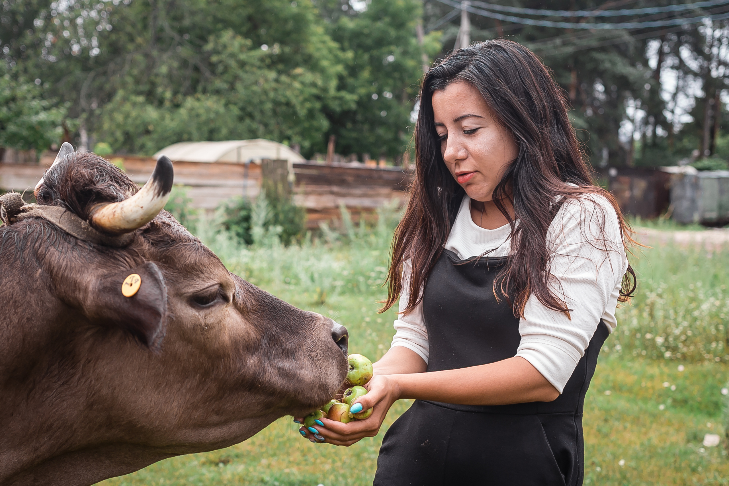 Проект «Вместе с мамой» — корова Аннушка. Фотографиня Мария Дикова