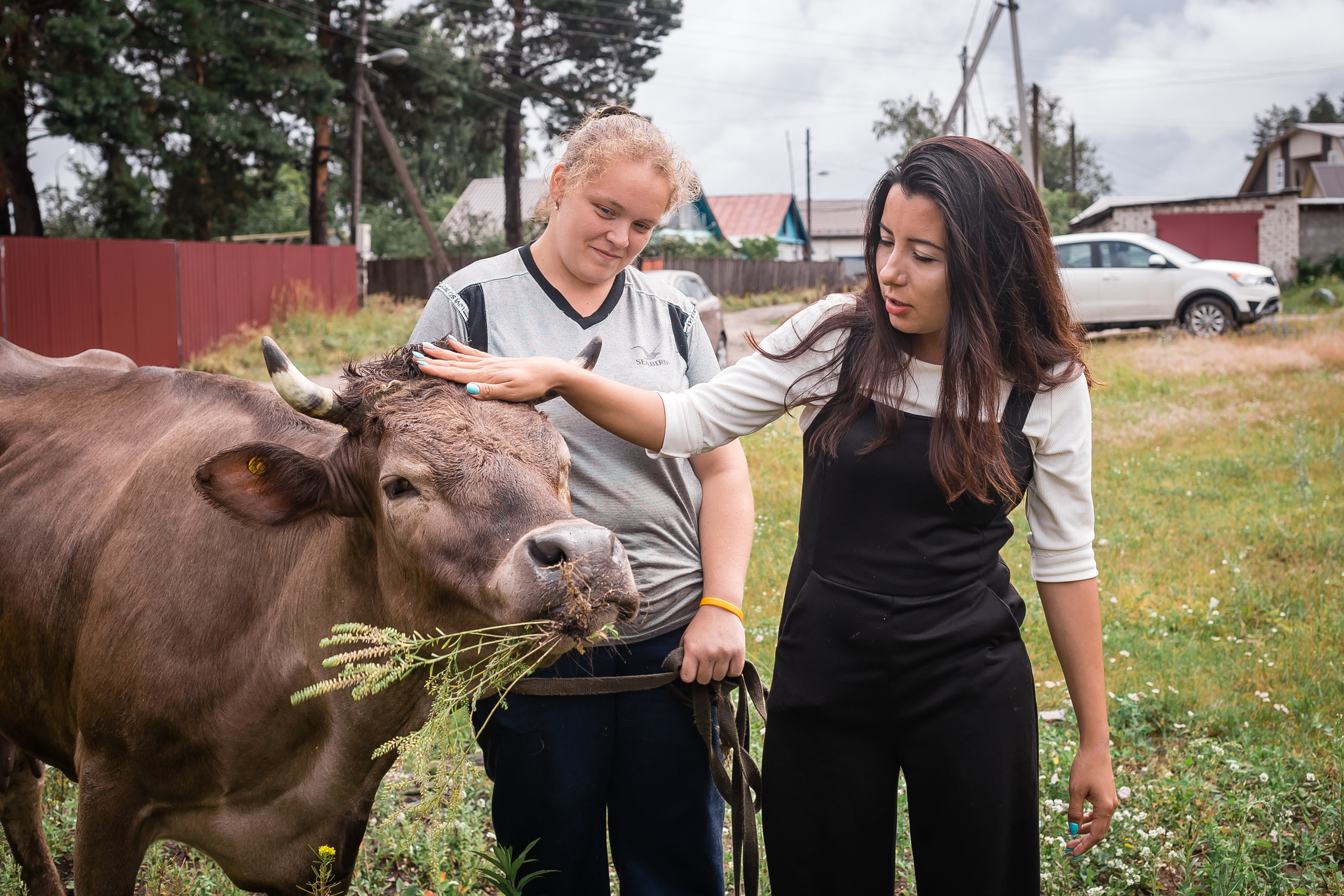 Проект «Вместе с мамой» — корова Аннушка. Фотографиня Мария Дикова