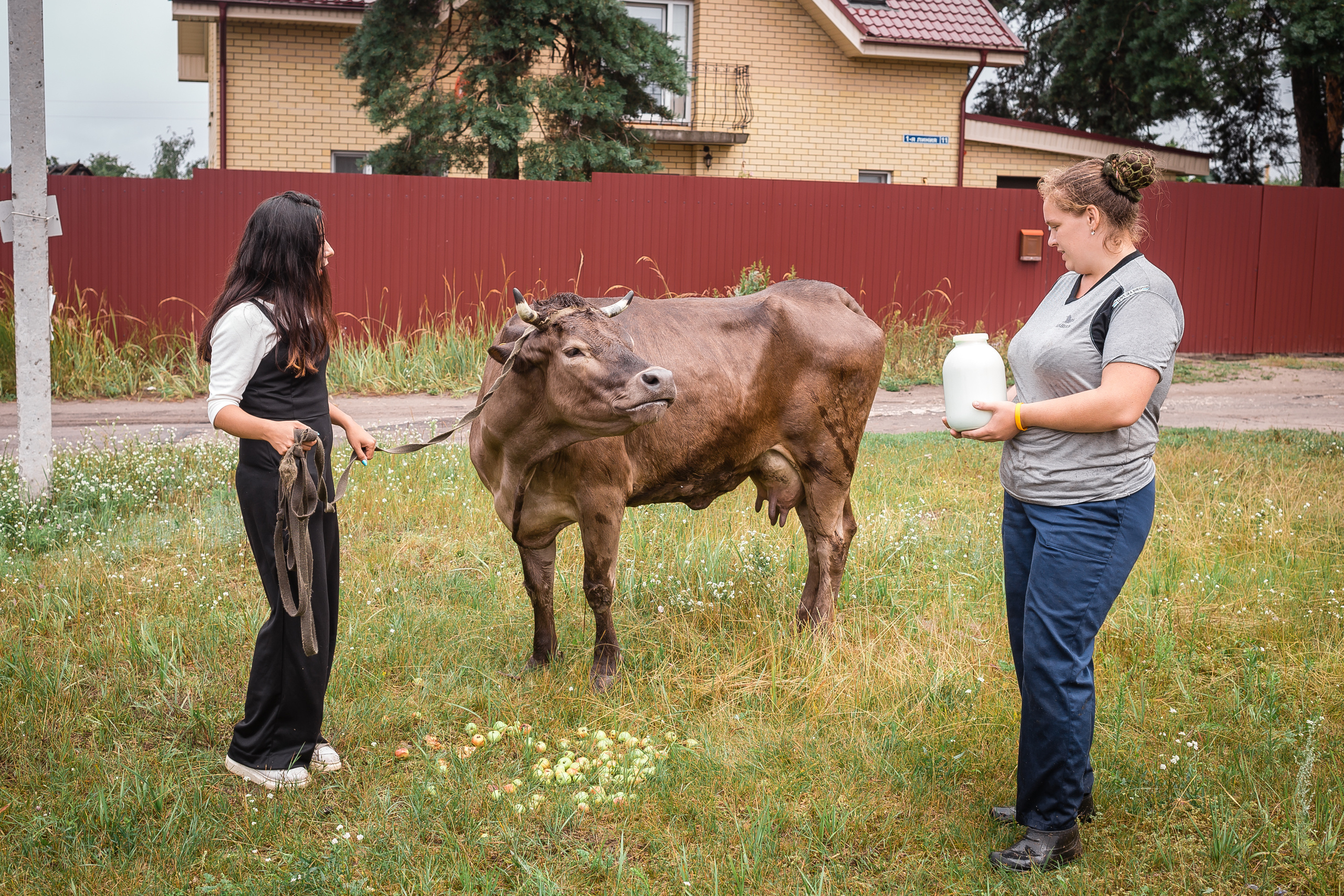 Проект «Вместе с мамой» — корова Аннушка. Фотографиня Мария Дикова