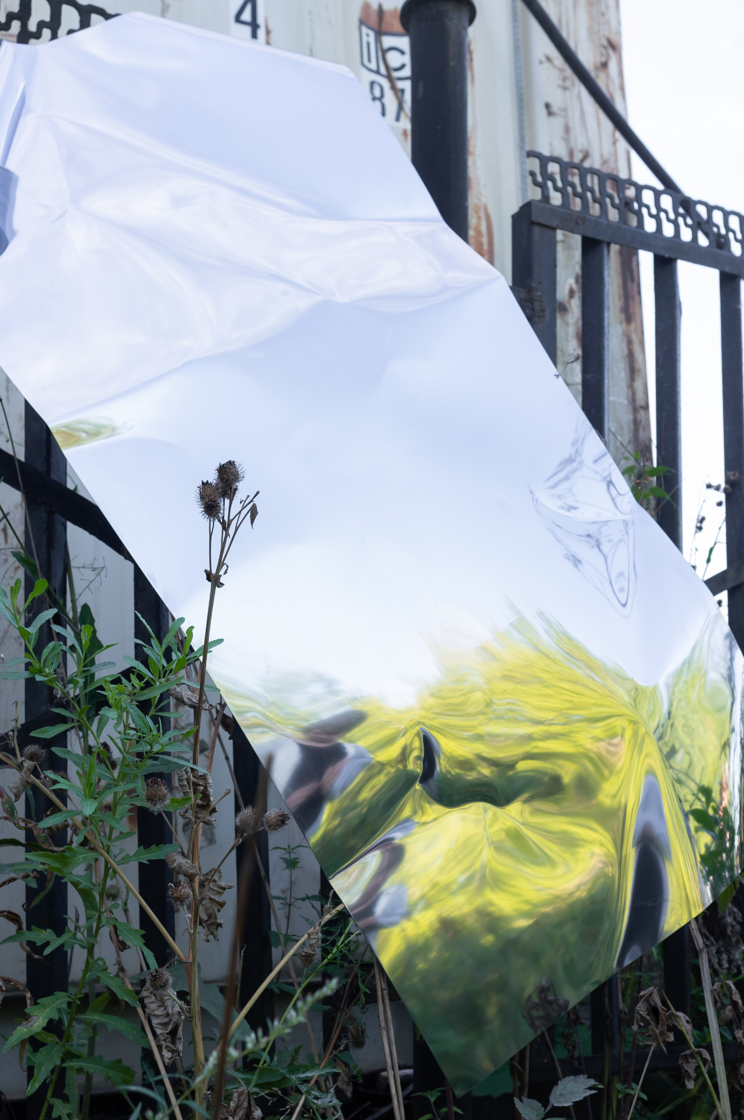 Красненькая биеннале 2023 (СПБ)