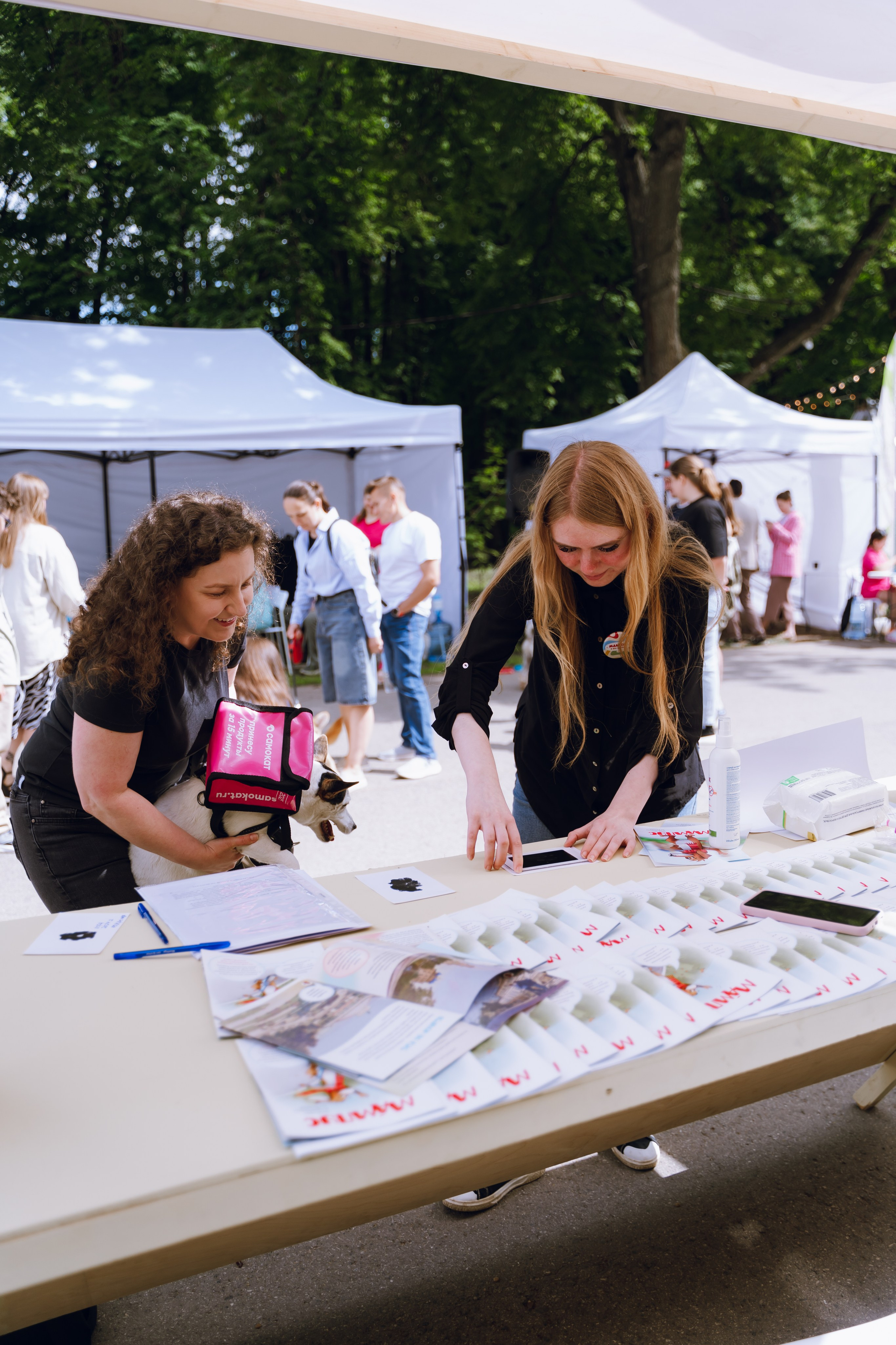 Площадка фестиваля «Мампус и его друзья» в Лесопарке 2025. Фотограф Надежда Погребняк | Рязань | Москва