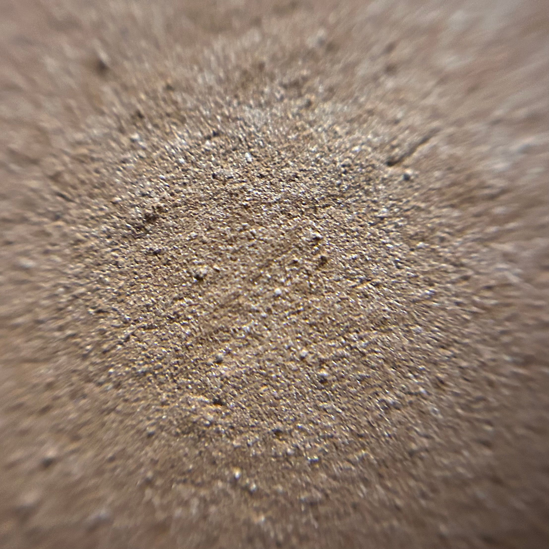 Макромир. Фотокружок «Видоискатель» ГБОУ СОШ № 291