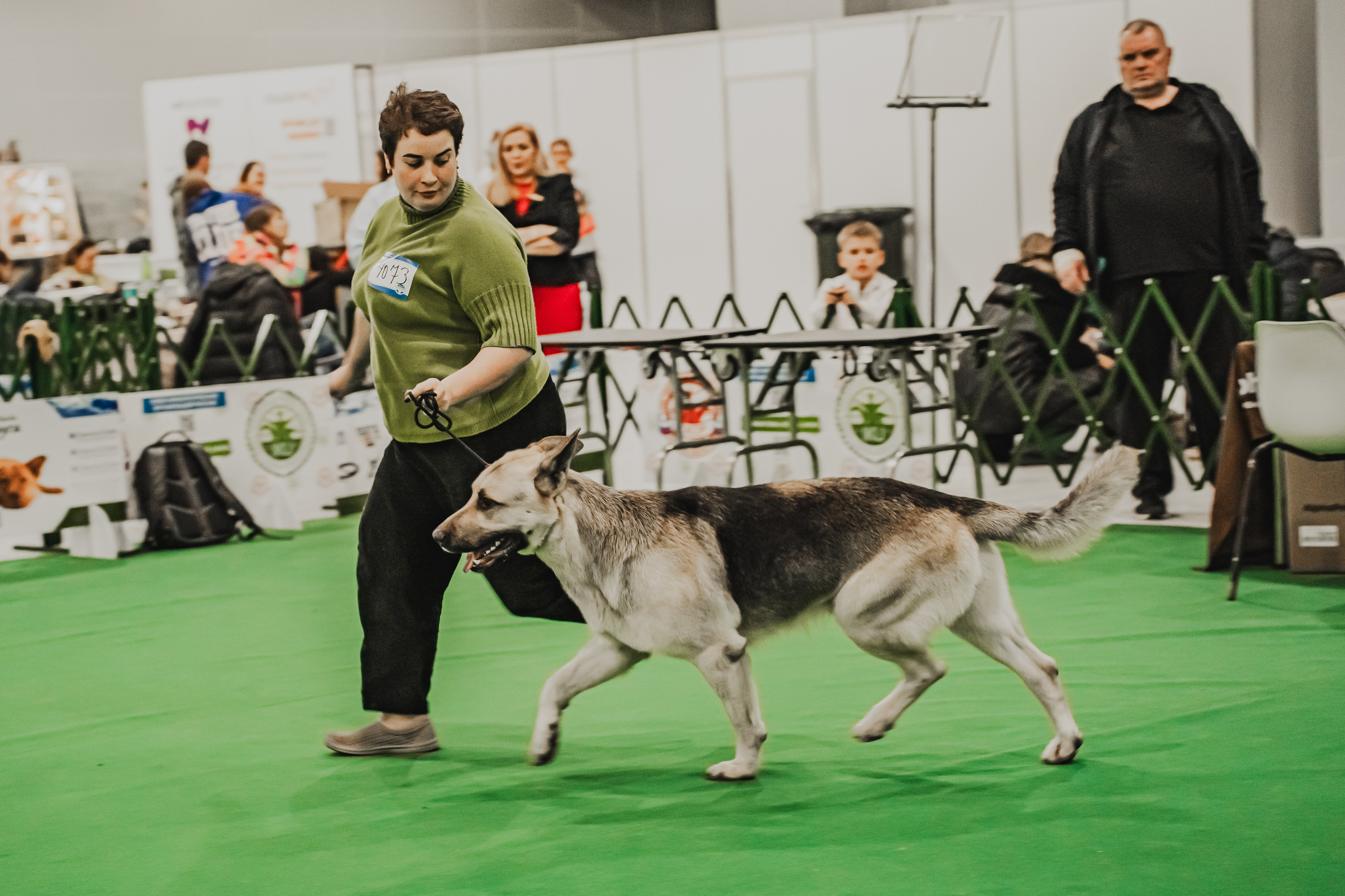 Международная выставка собак всех пород. Репортажный фотограф Анастасия Рубцова