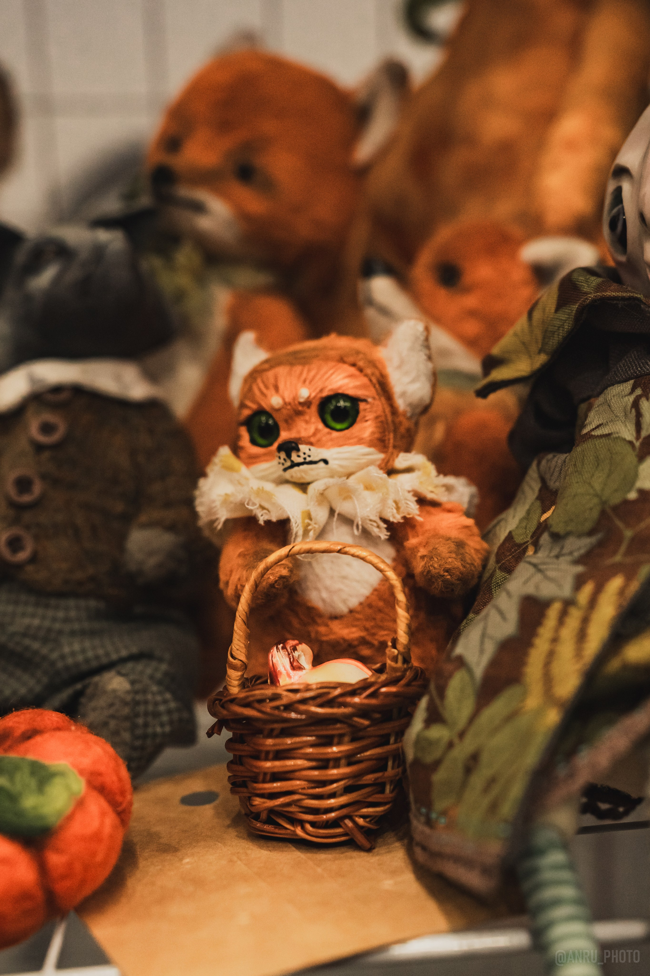 Fox Family fest. Репортажный фотограф Анастасия Рубцова