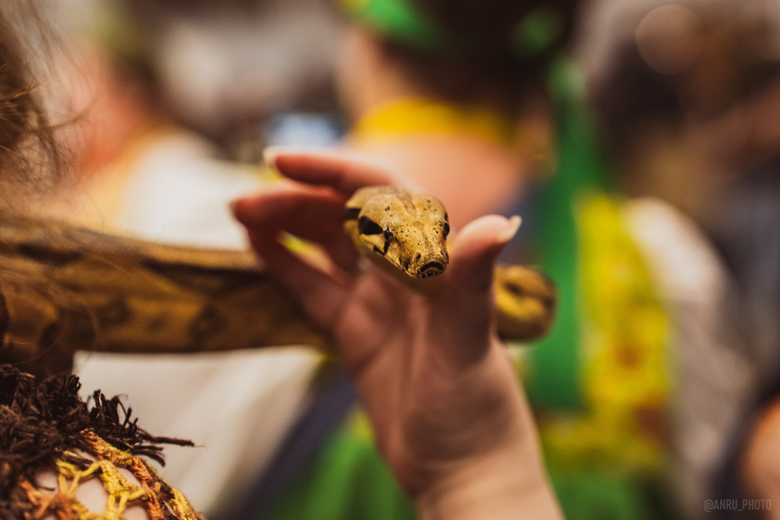 Fox Family fest. Репортажный фотограф Анастасия Рубцова