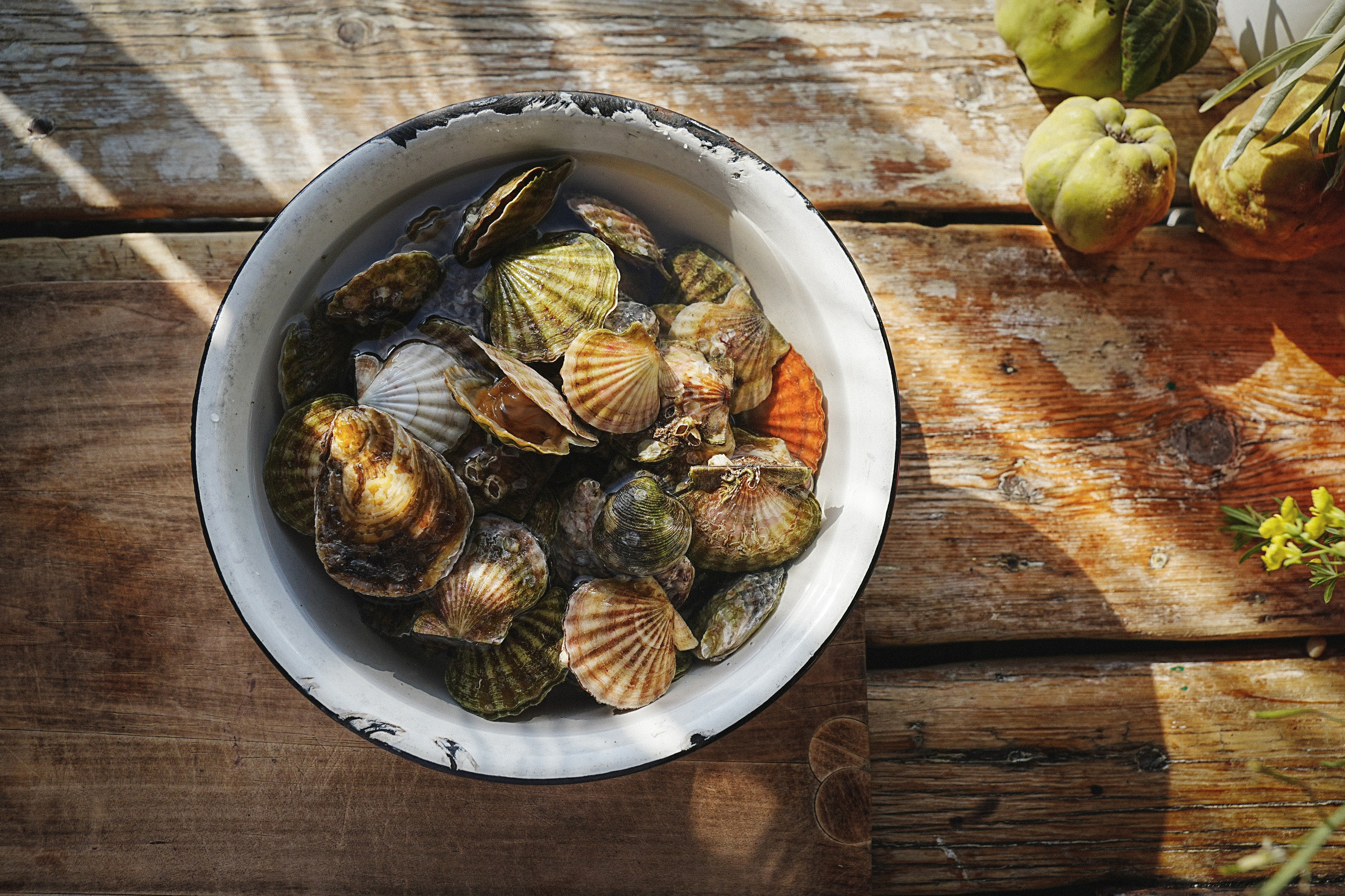 Фотосессия для рыбного ресторана. Фотограф в Крыму Алевтина Швец