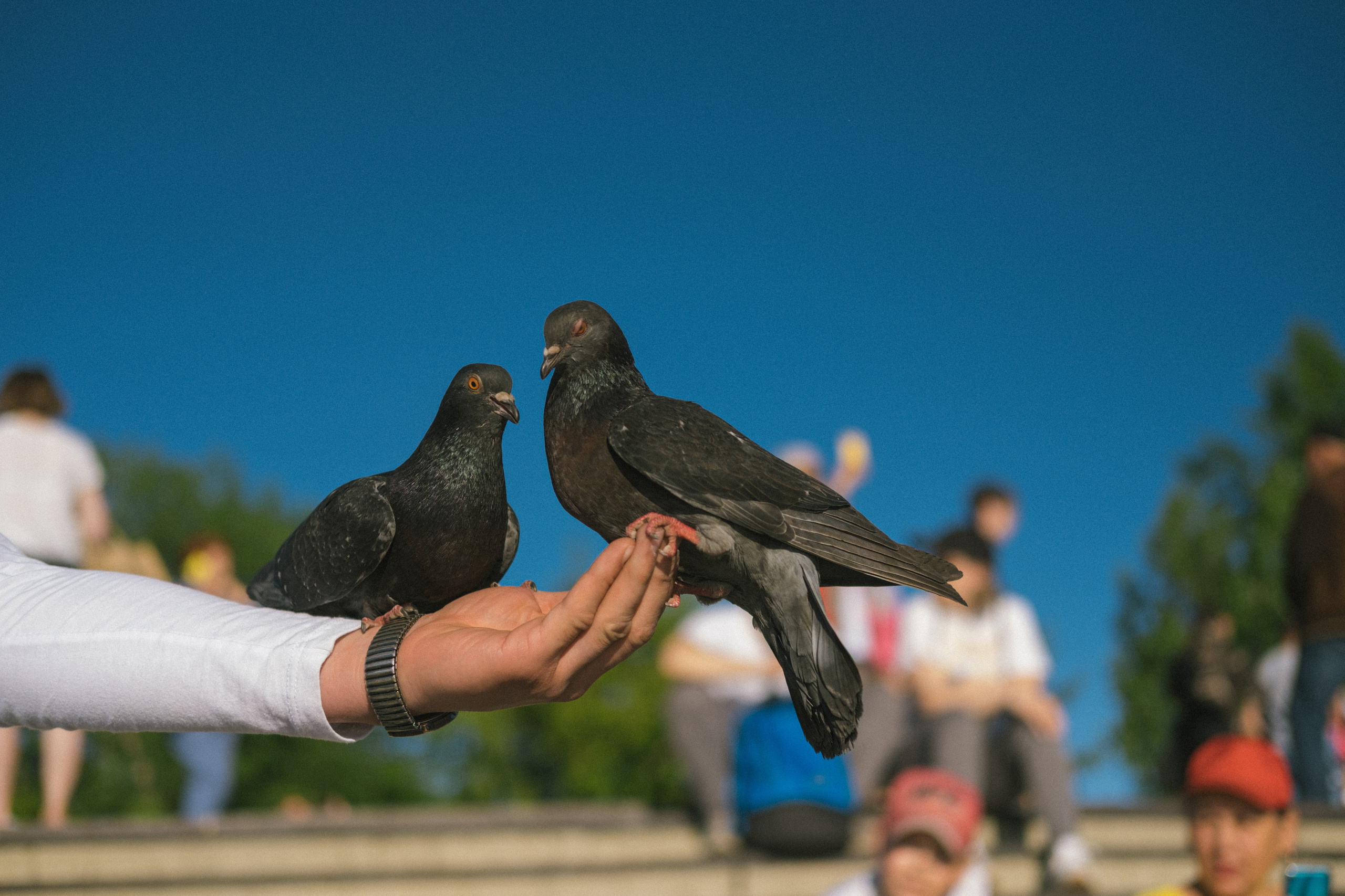 День города. Фотограф в Иркутске Анна Мирошникова