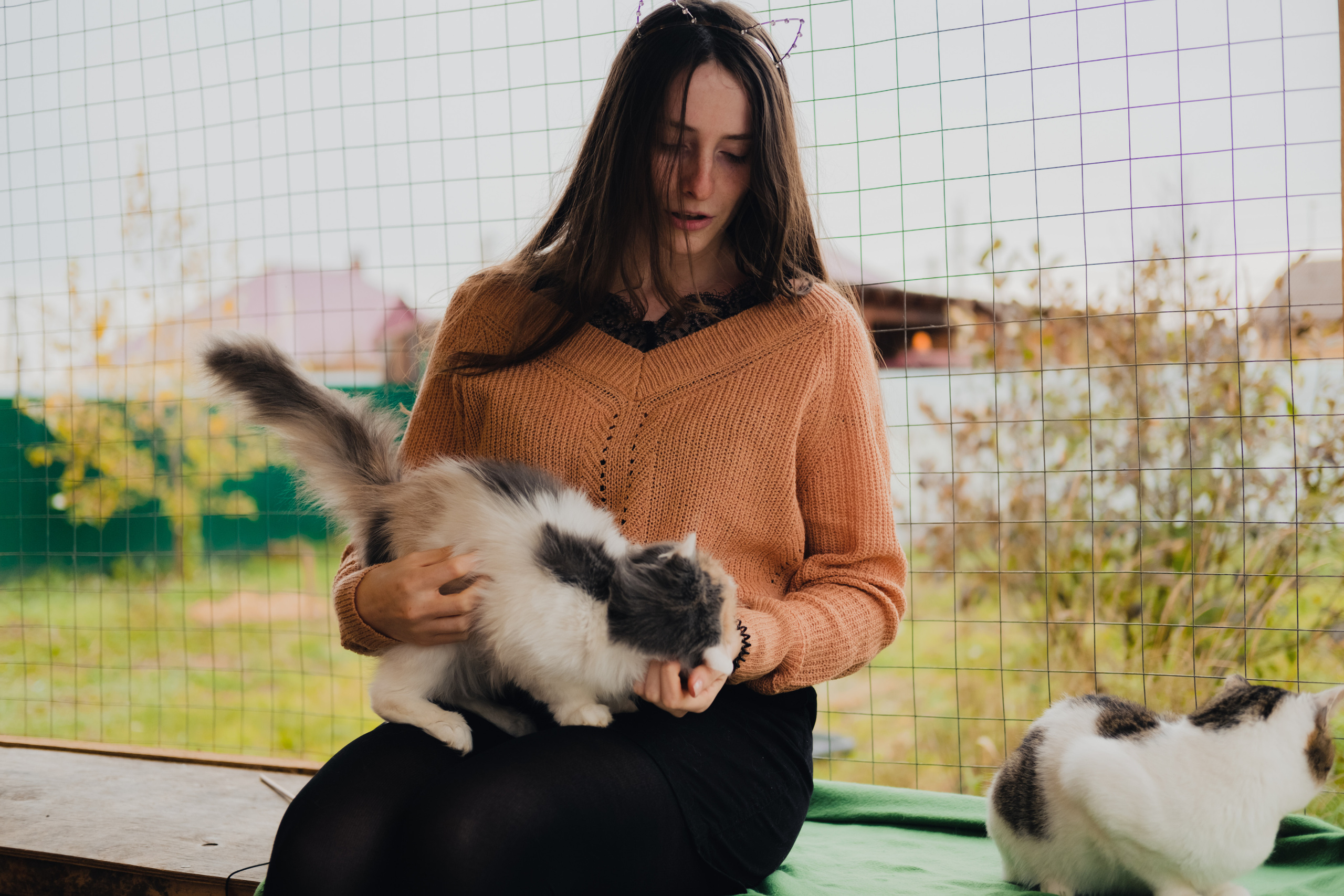 Девочки и котики. Фотограф в Иркутске Анна Мирошникова