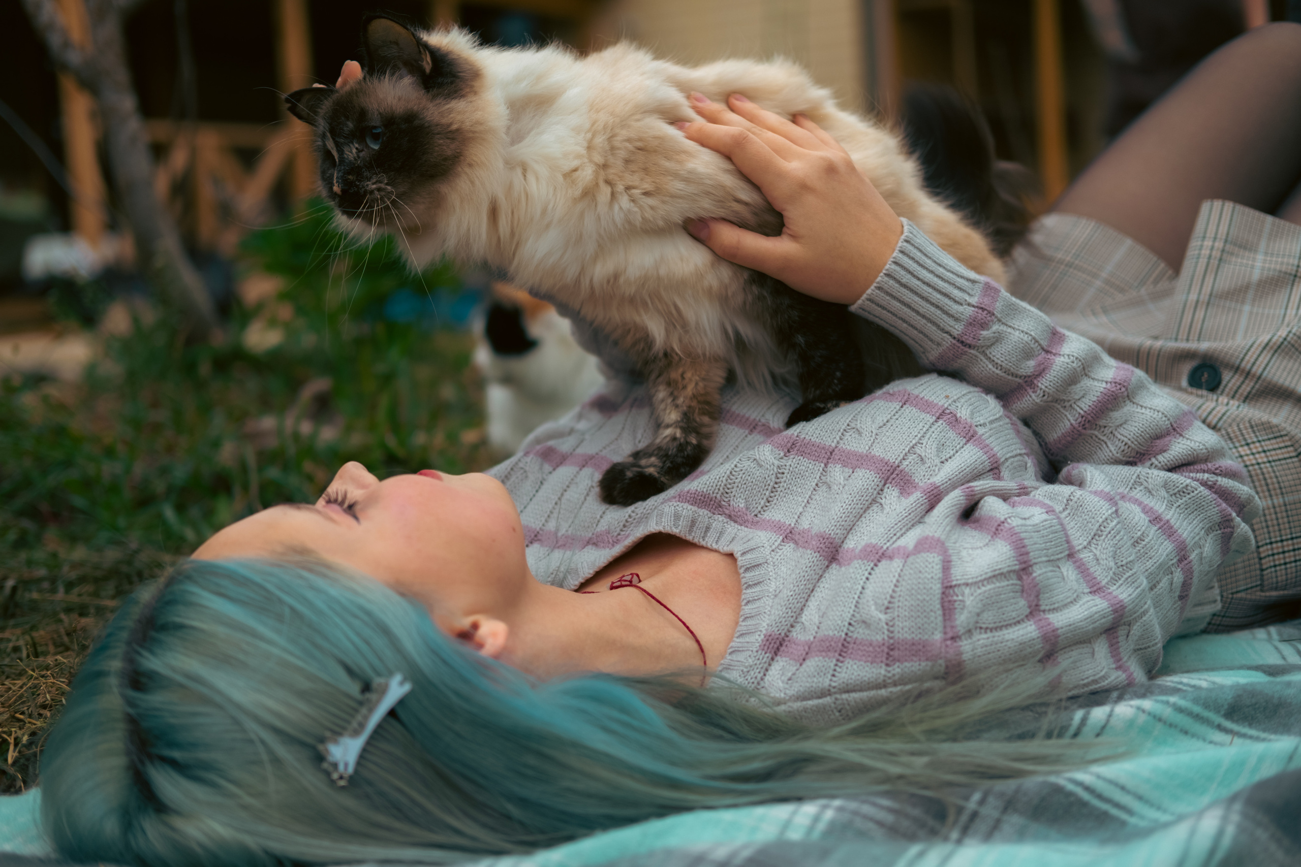 Девочки и котики. Фотограф в Иркутске Анна Мирошникова