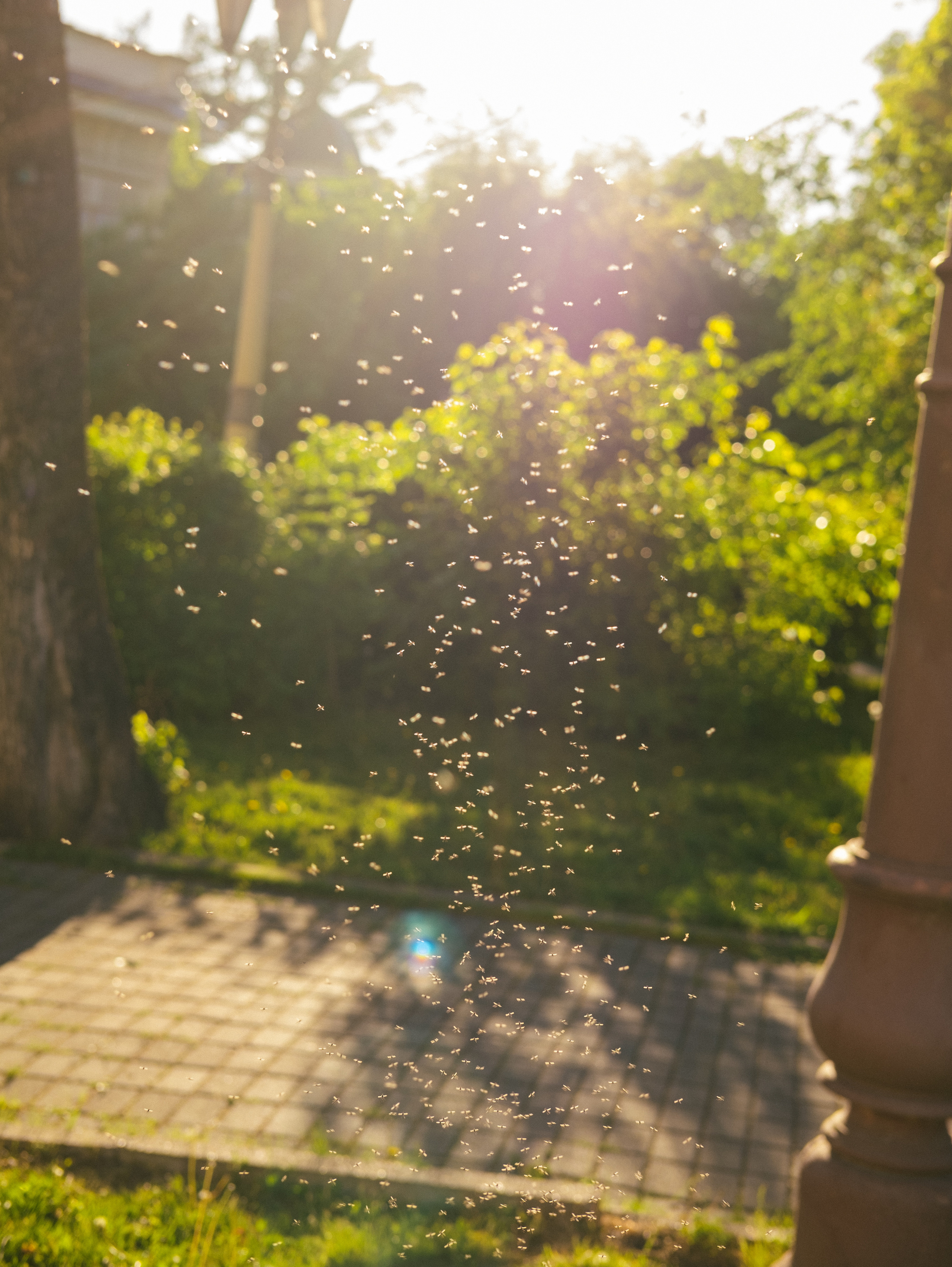 День города. Фотограф в Иркутске Анна Мирошникова