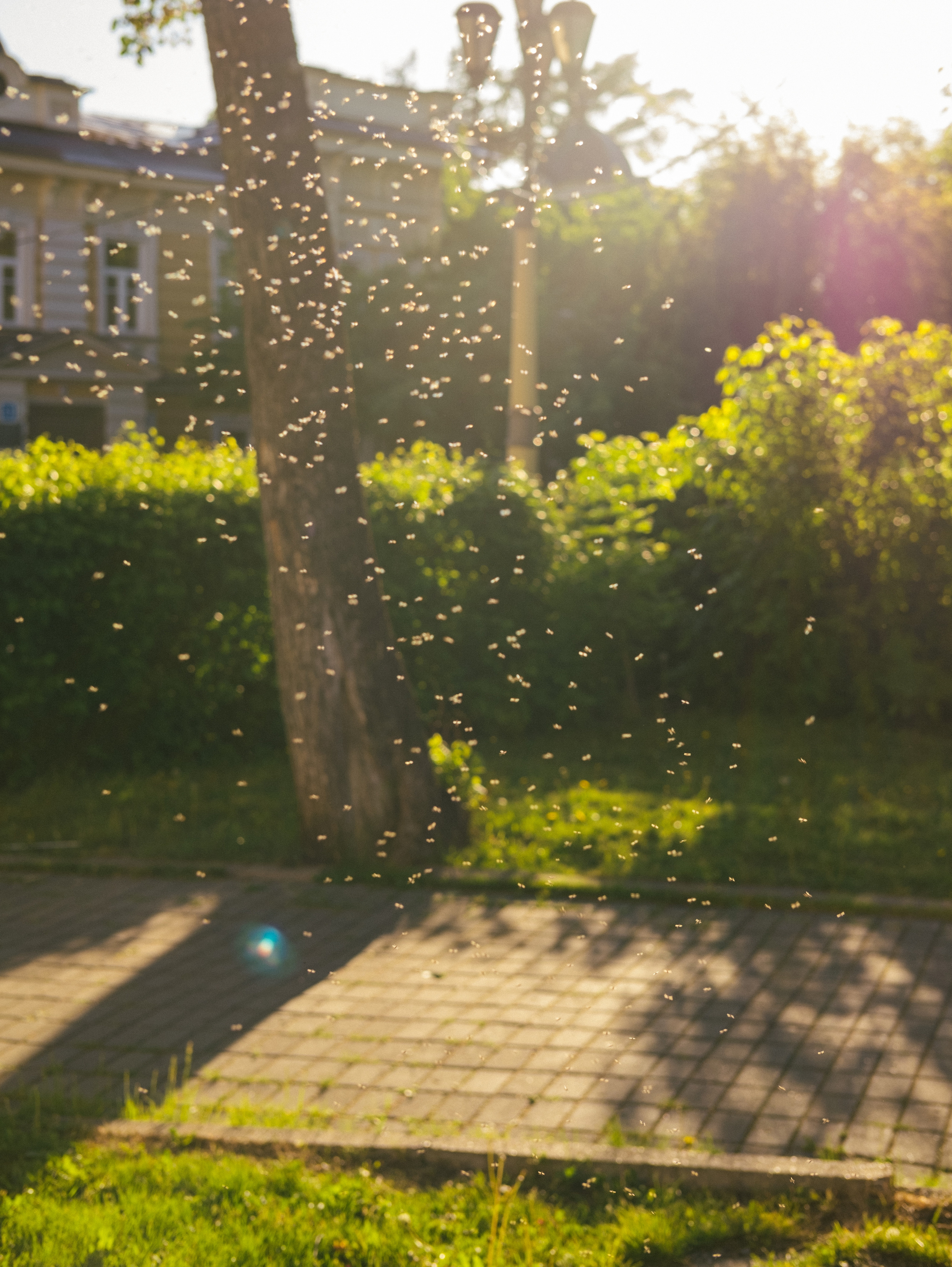 День города. Фотограф в Иркутске Анна Мирошникова