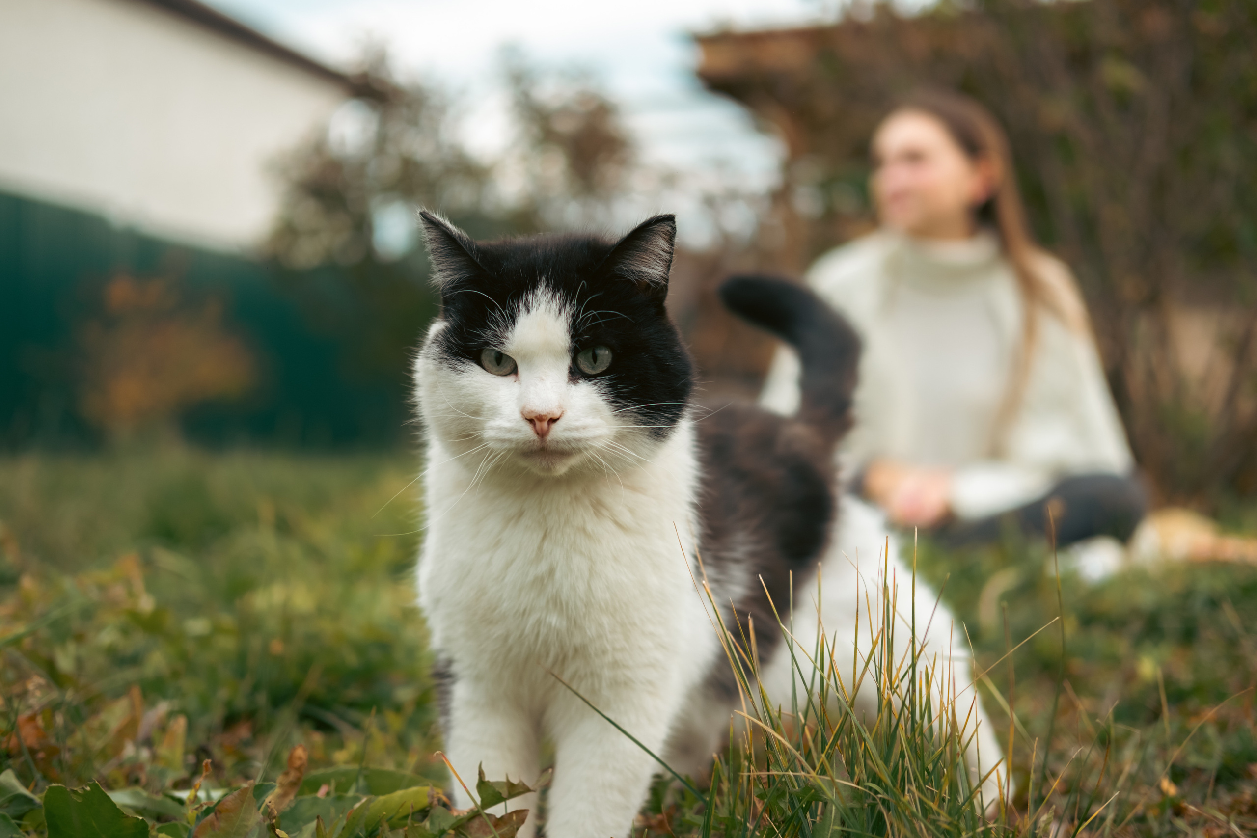 Девочки и котики. Фотограф в Иркутске Анна Мирошникова