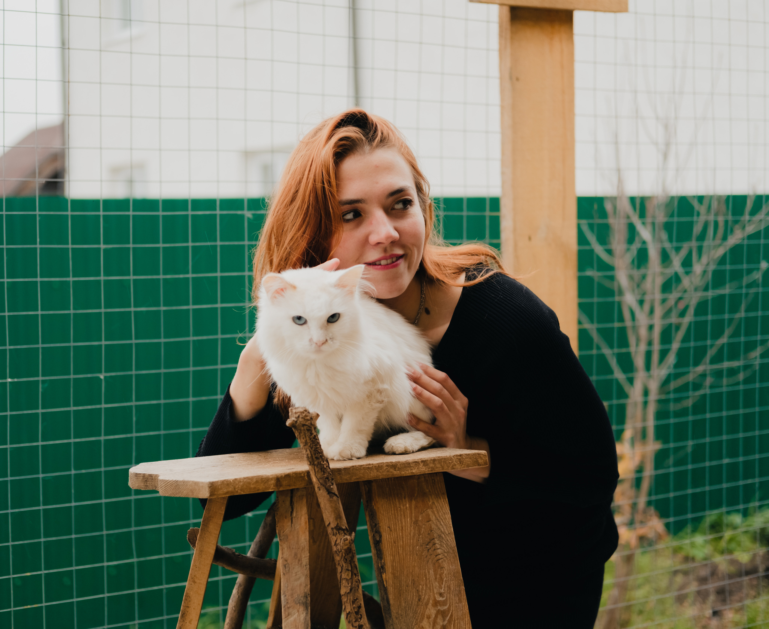 Девочки и котики. Фотограф в Иркутске Анна Мирошникова