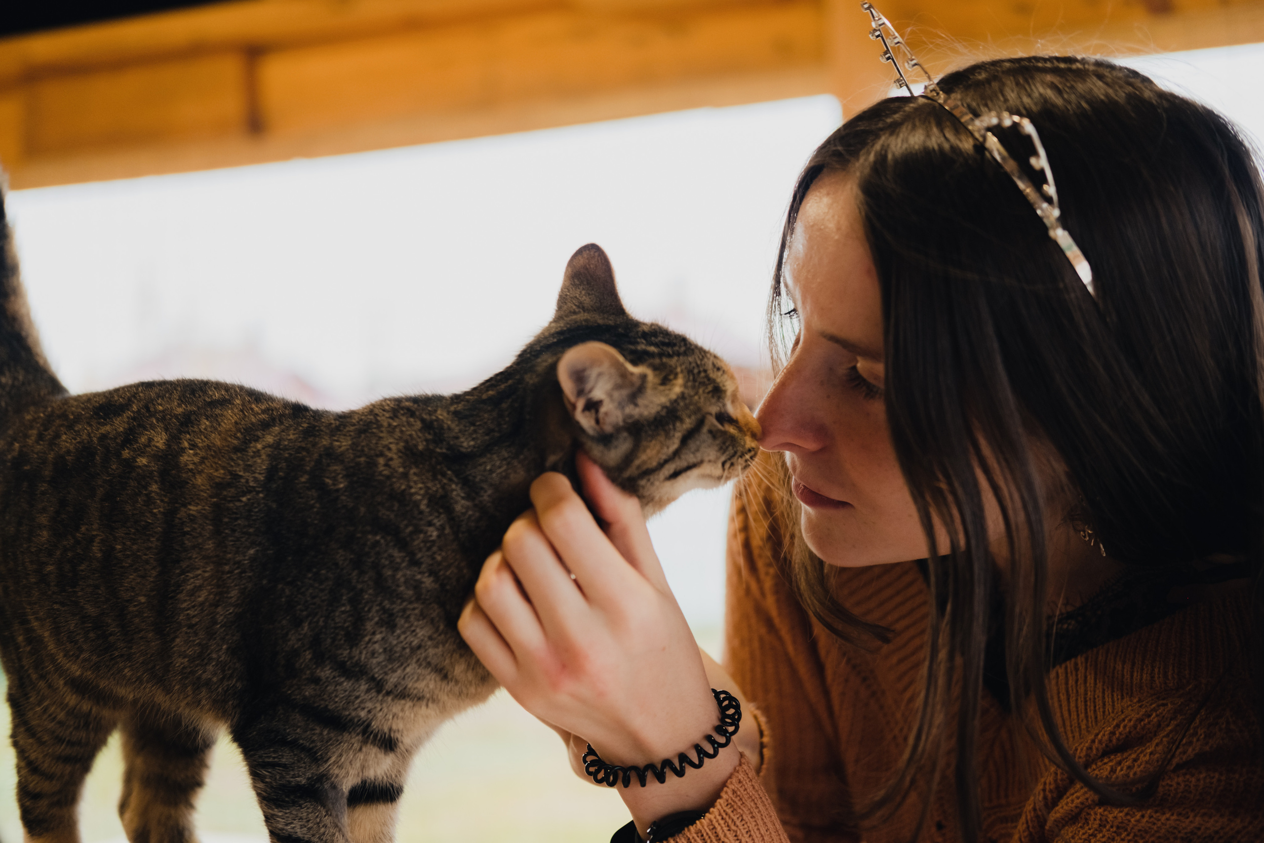 Девочки и котики. Фотограф в Иркутске Анна Мирошникова