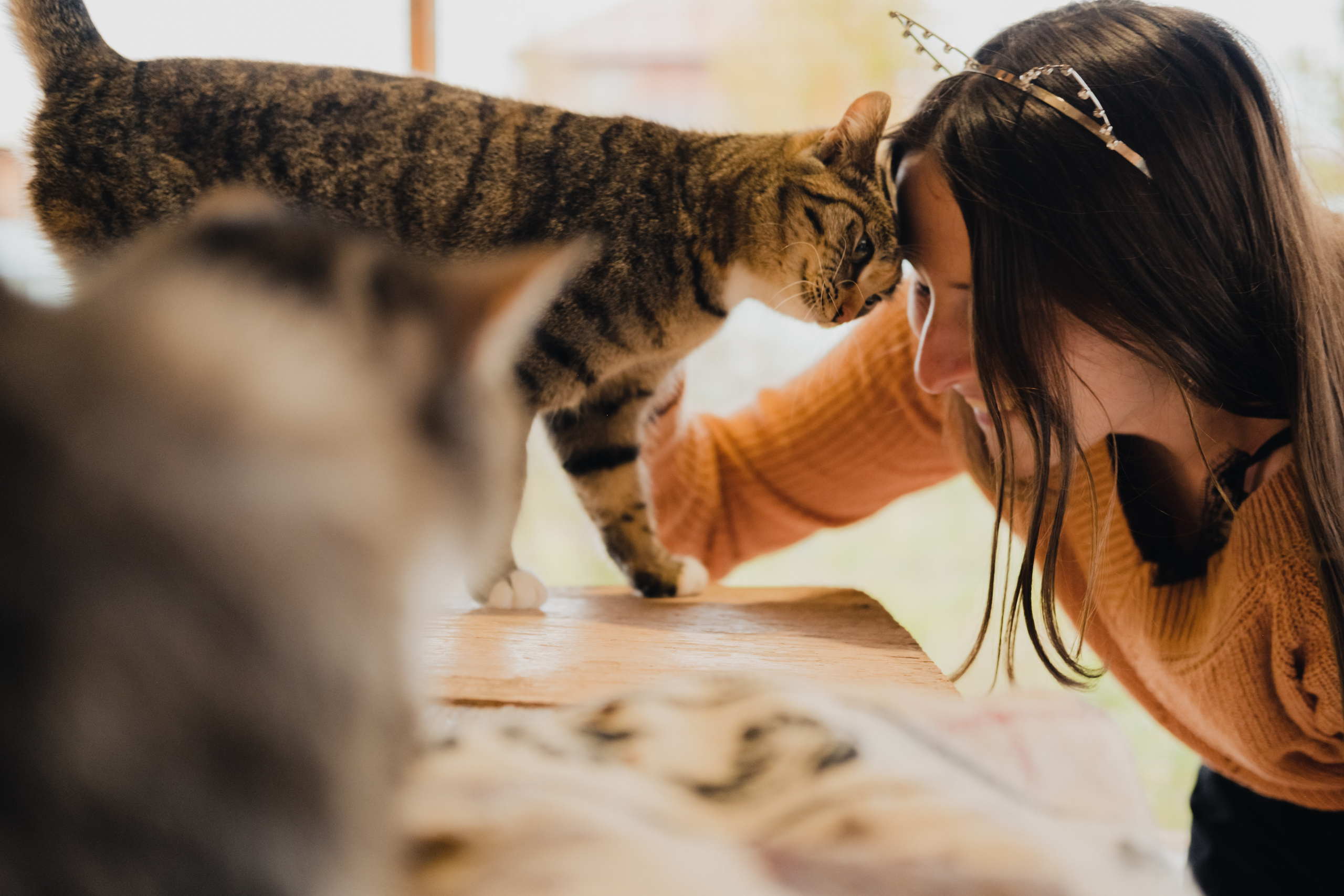 Девочки и котики. Фотограф в Иркутске Анна Мирошникова