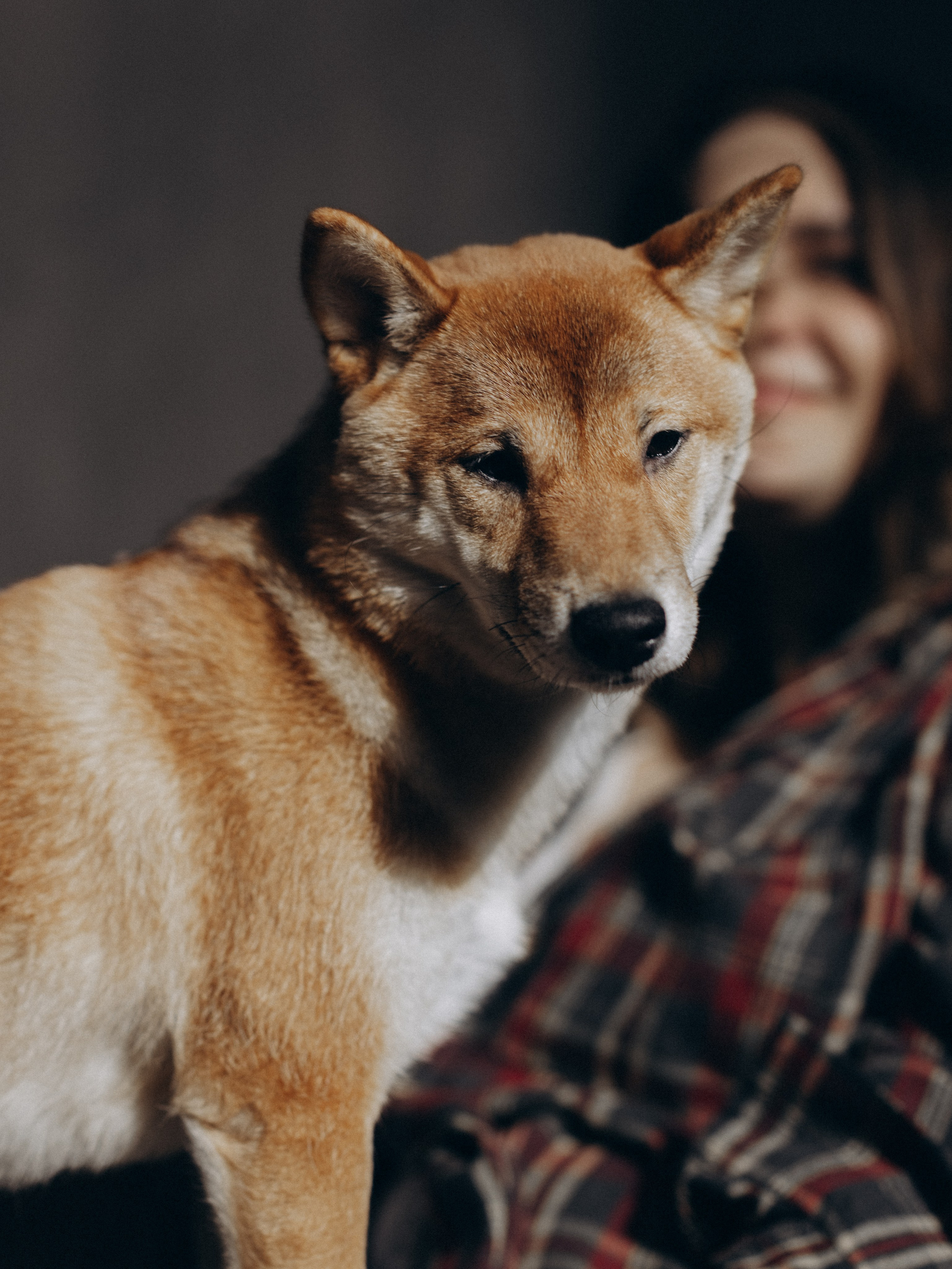 Мика и Настя. Фотограф-анималист в Москве Кириллова Татьяна
