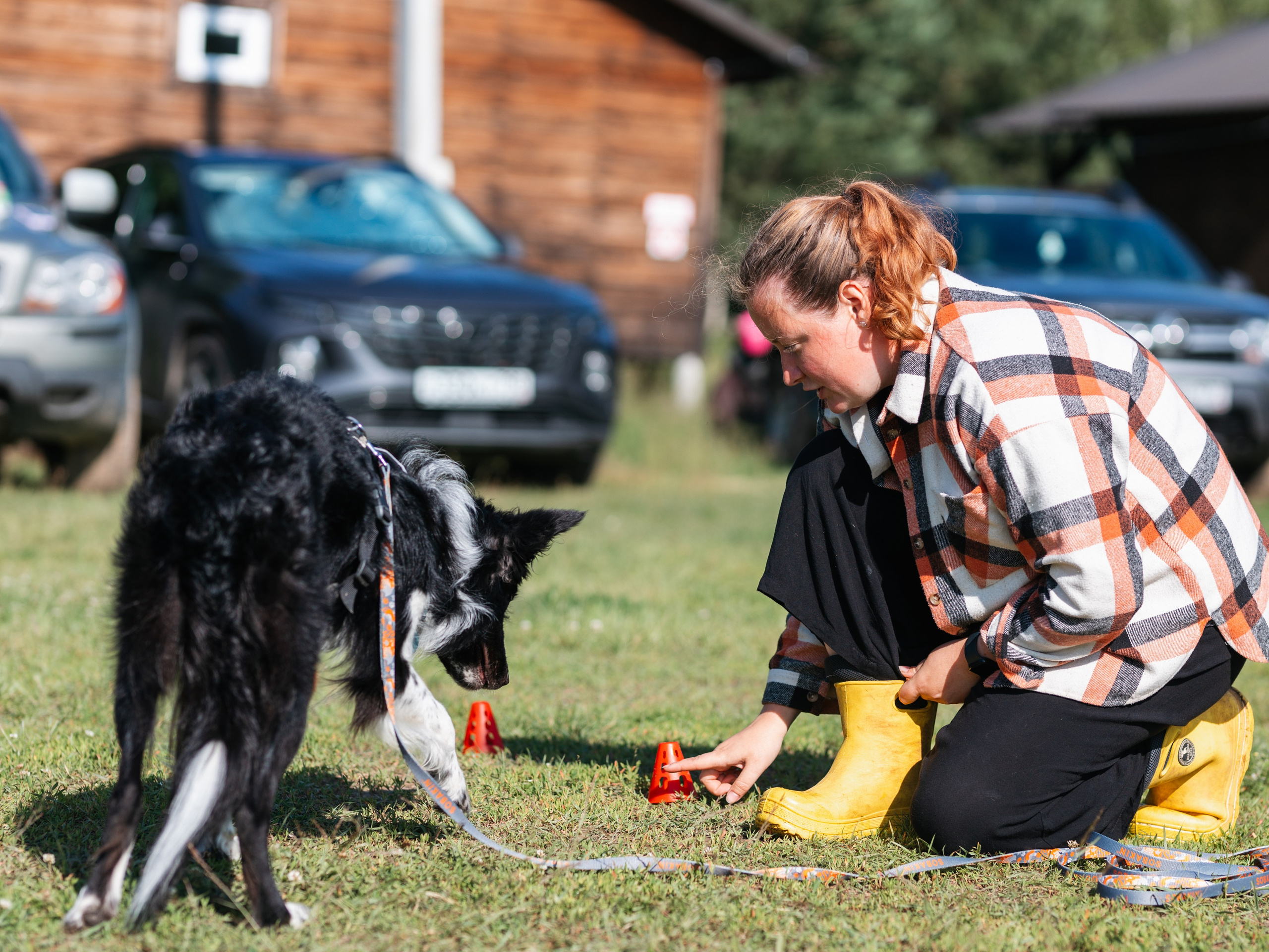 Лагерь ноузворк. Фотограф-анималист в Москве Кириллова Татьяна