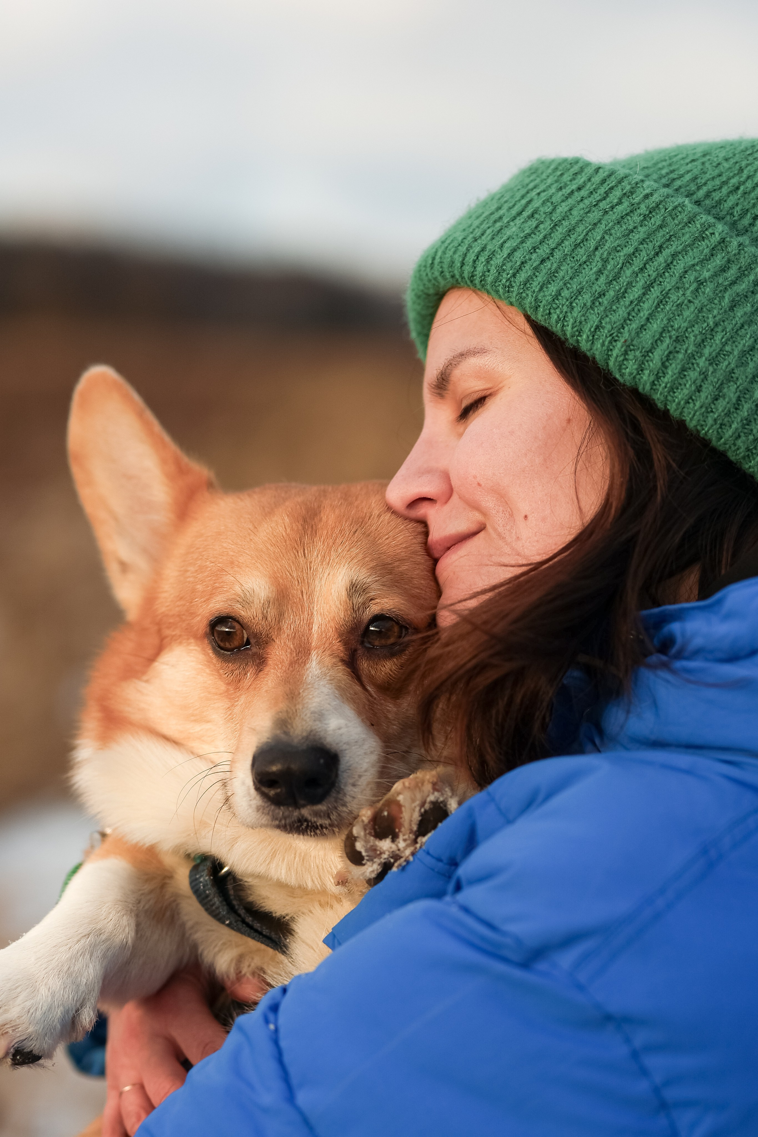 Трой, Балу и Катя. Фотограф-анималист в Москве Кириллова Татьяна