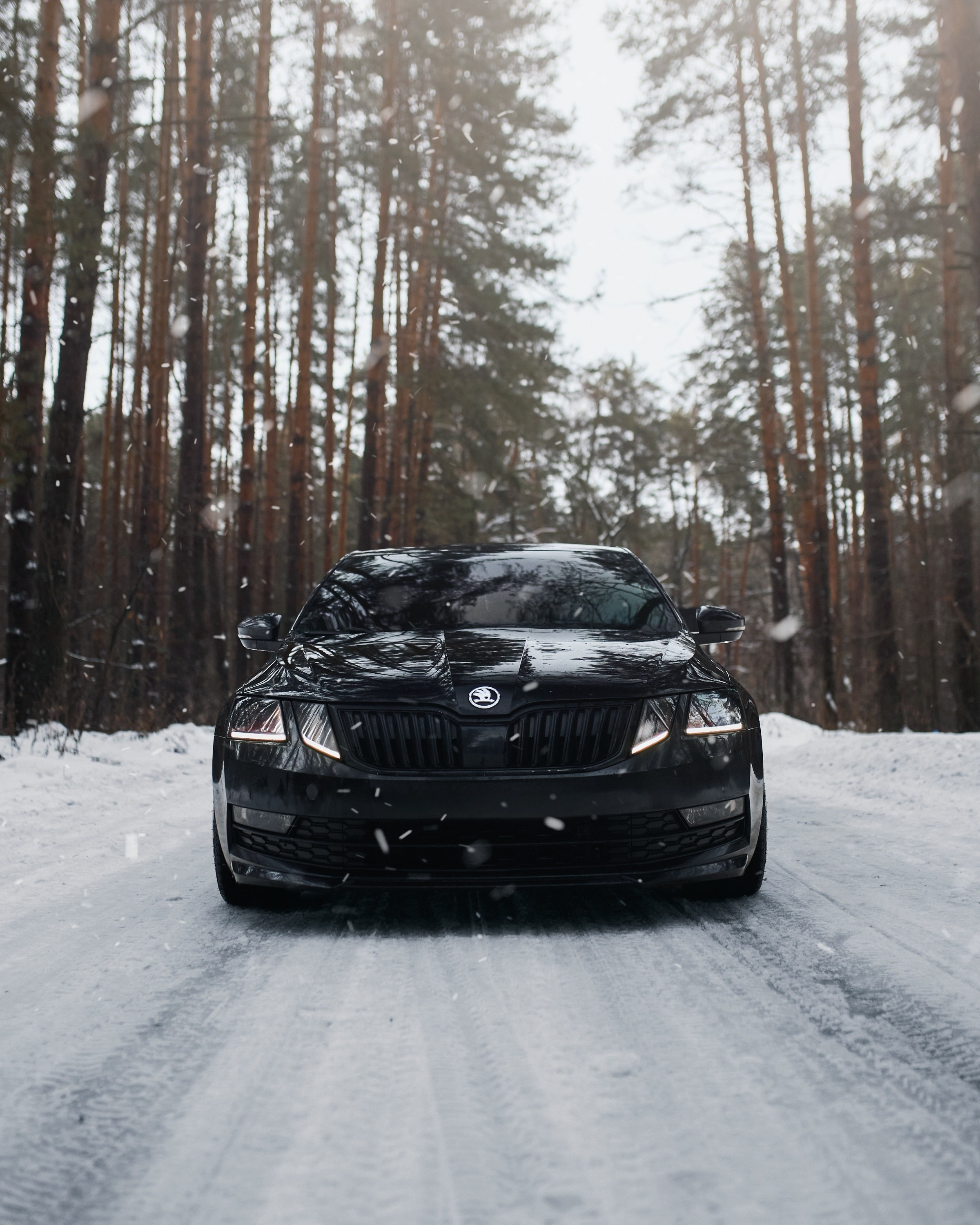 Skoda Octavia | @fuck_credit. DKARPOCHEVA PHOTOGRAPHY