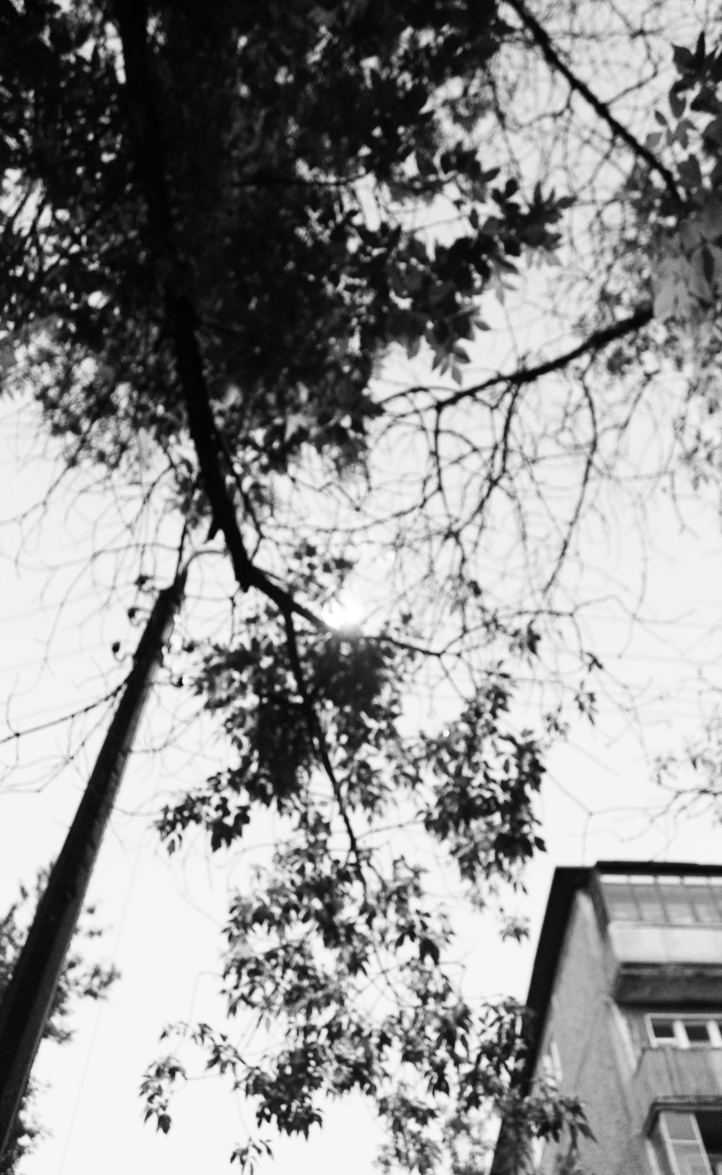 Мои первые работы. Фотограф из Москвы — DASHA NOVA | Авторская фотография в разных жанрах