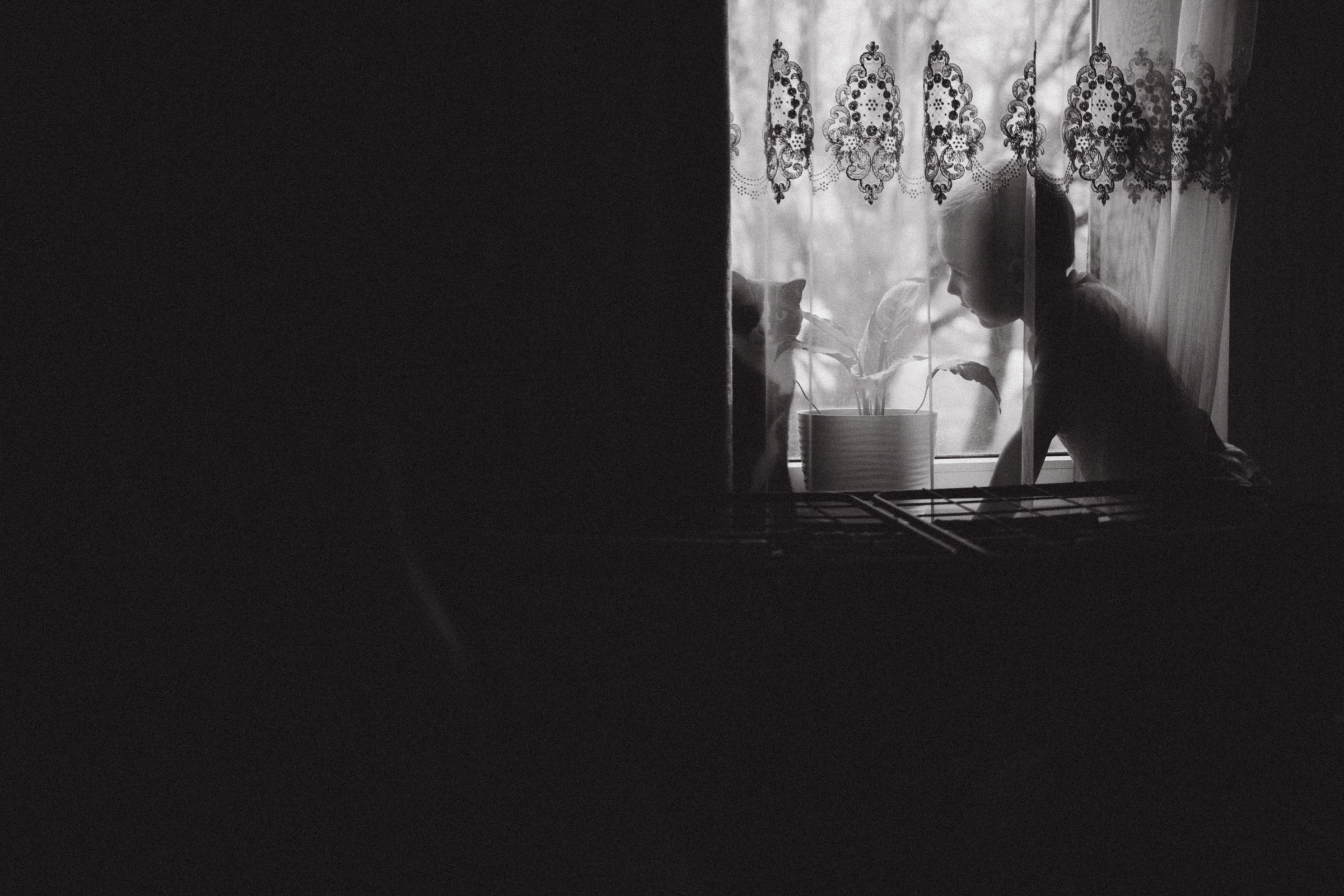 Чай с ллидинками. Фотограф Daria Wilner