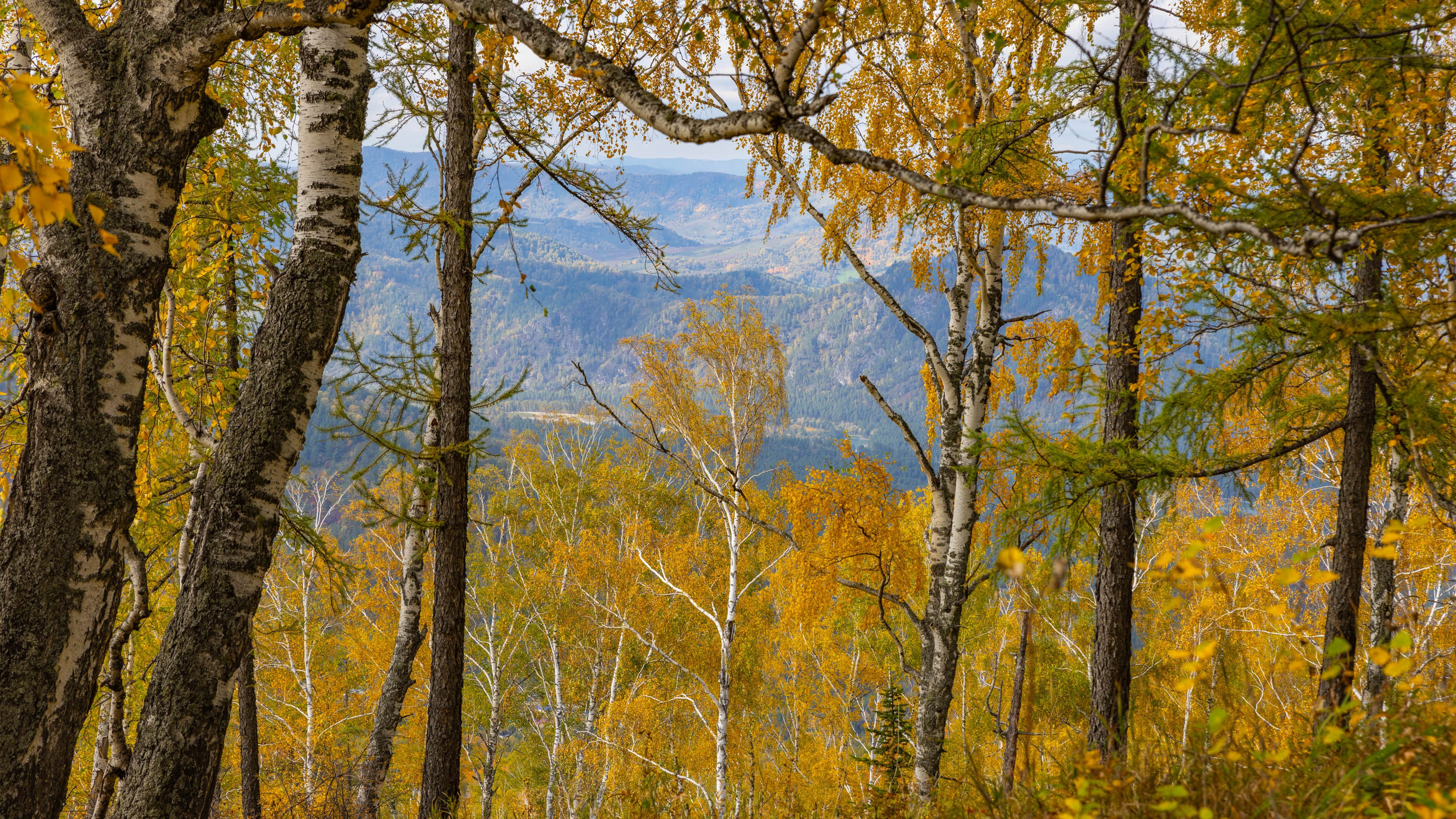 2025 09 Алтай. Чуйский тракт. Фотографии