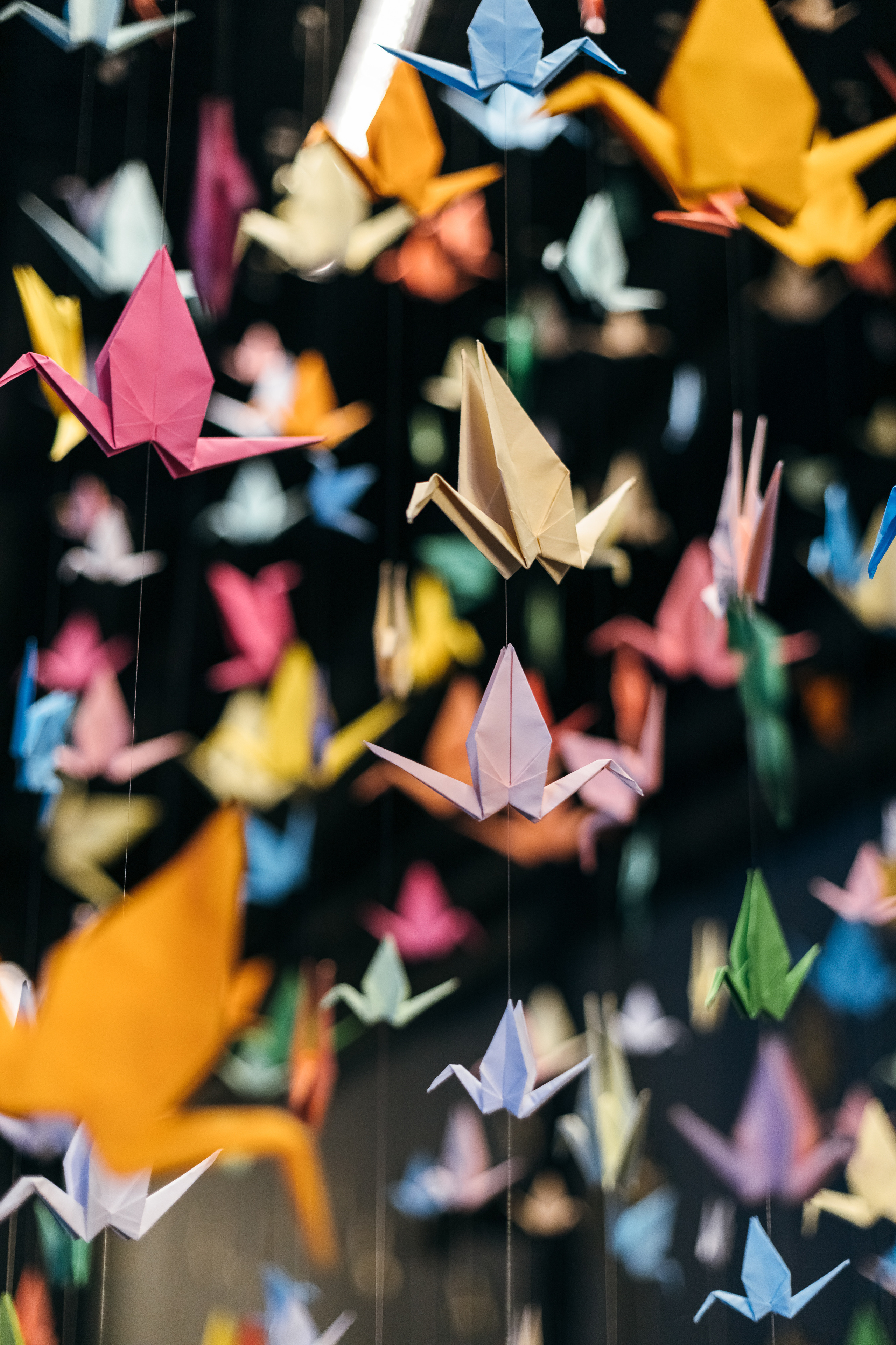 Корпоратив Siemens. Свадебный и портретный фотограф в Королёве Сергей Чихарев