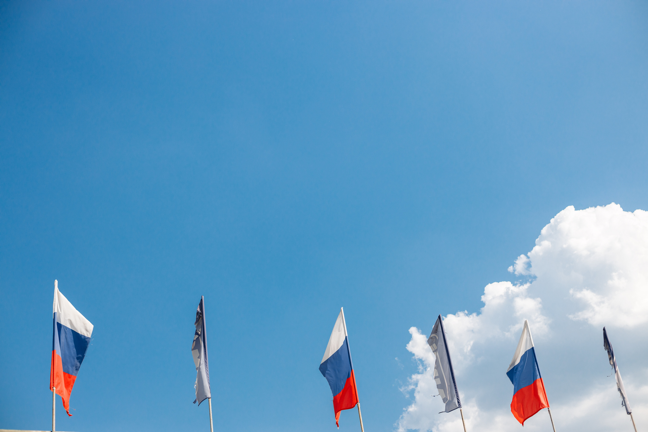 Тимблдинг Siemens. Свадебный и портретный фотограф в Королёве Сергей Чихарев